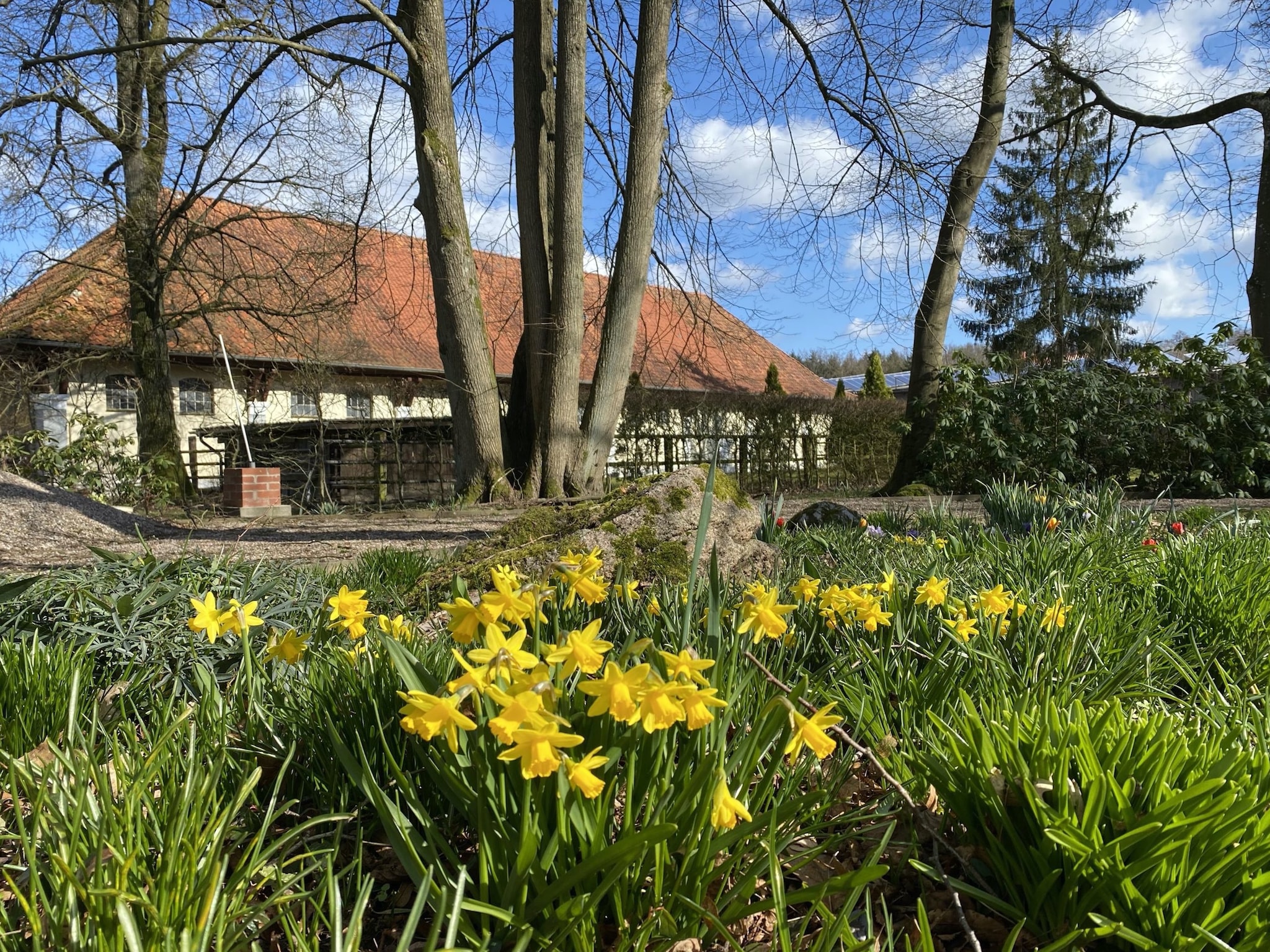  Lüneburger Heide
