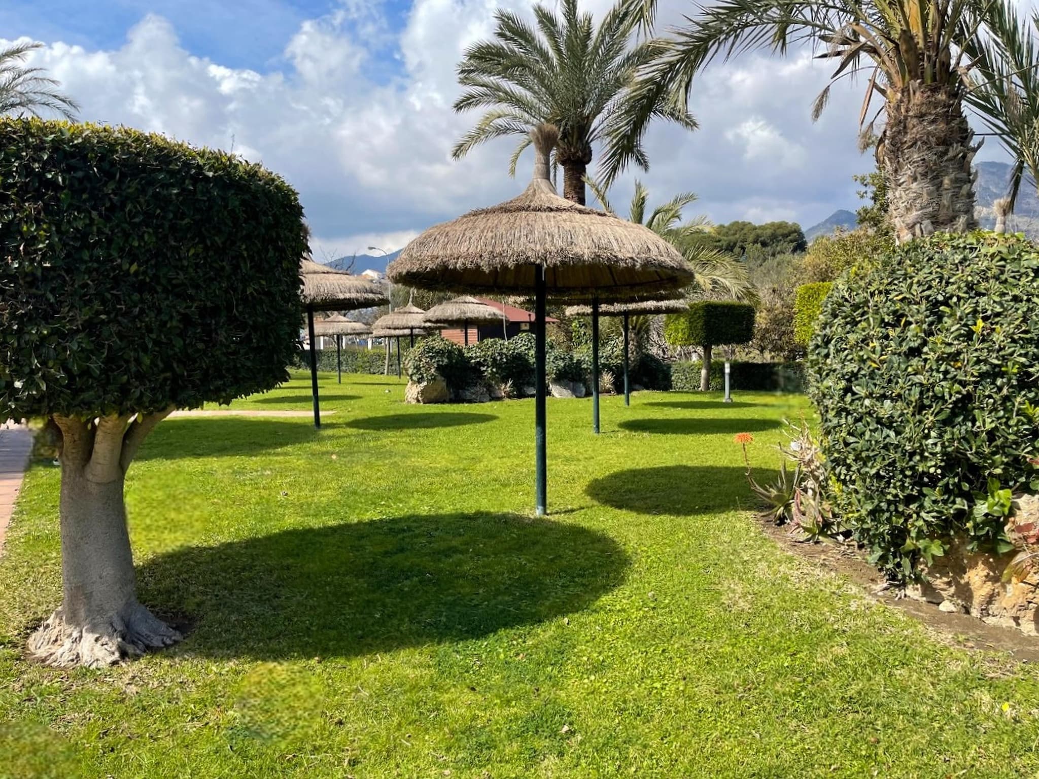 Lejlighed Apartamento con terraza y vistas a playa Benalm