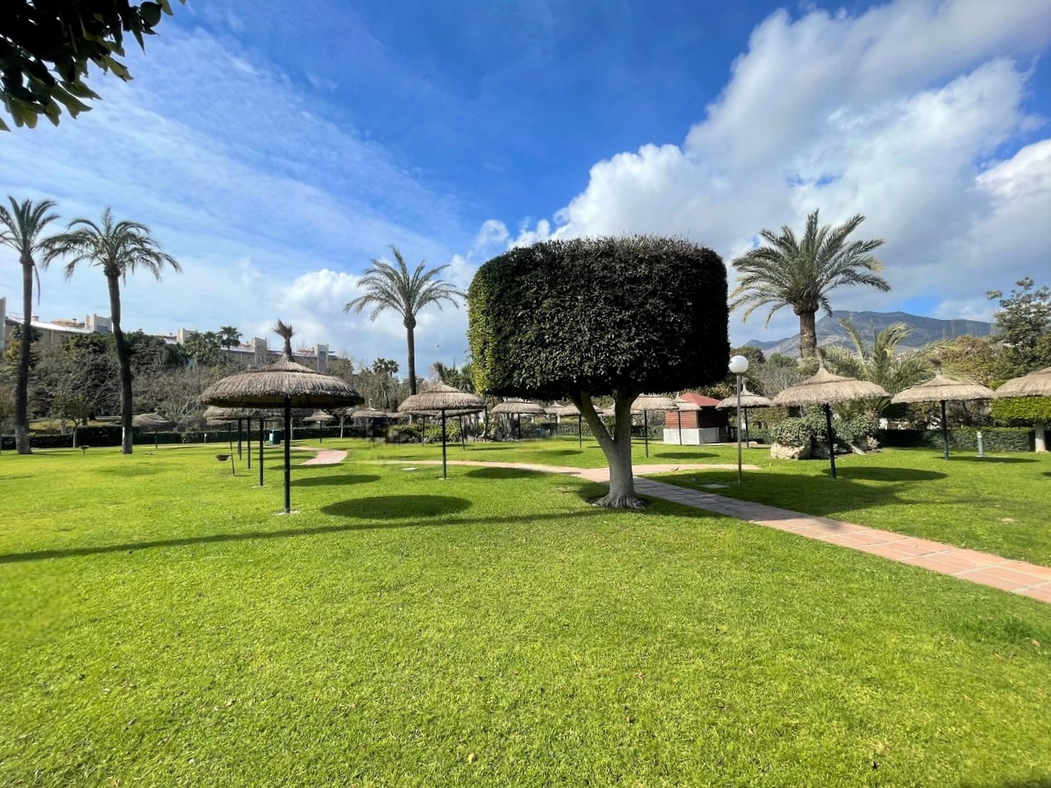 Lejlighed Apartamento con terraza y vistas a playa Benalm