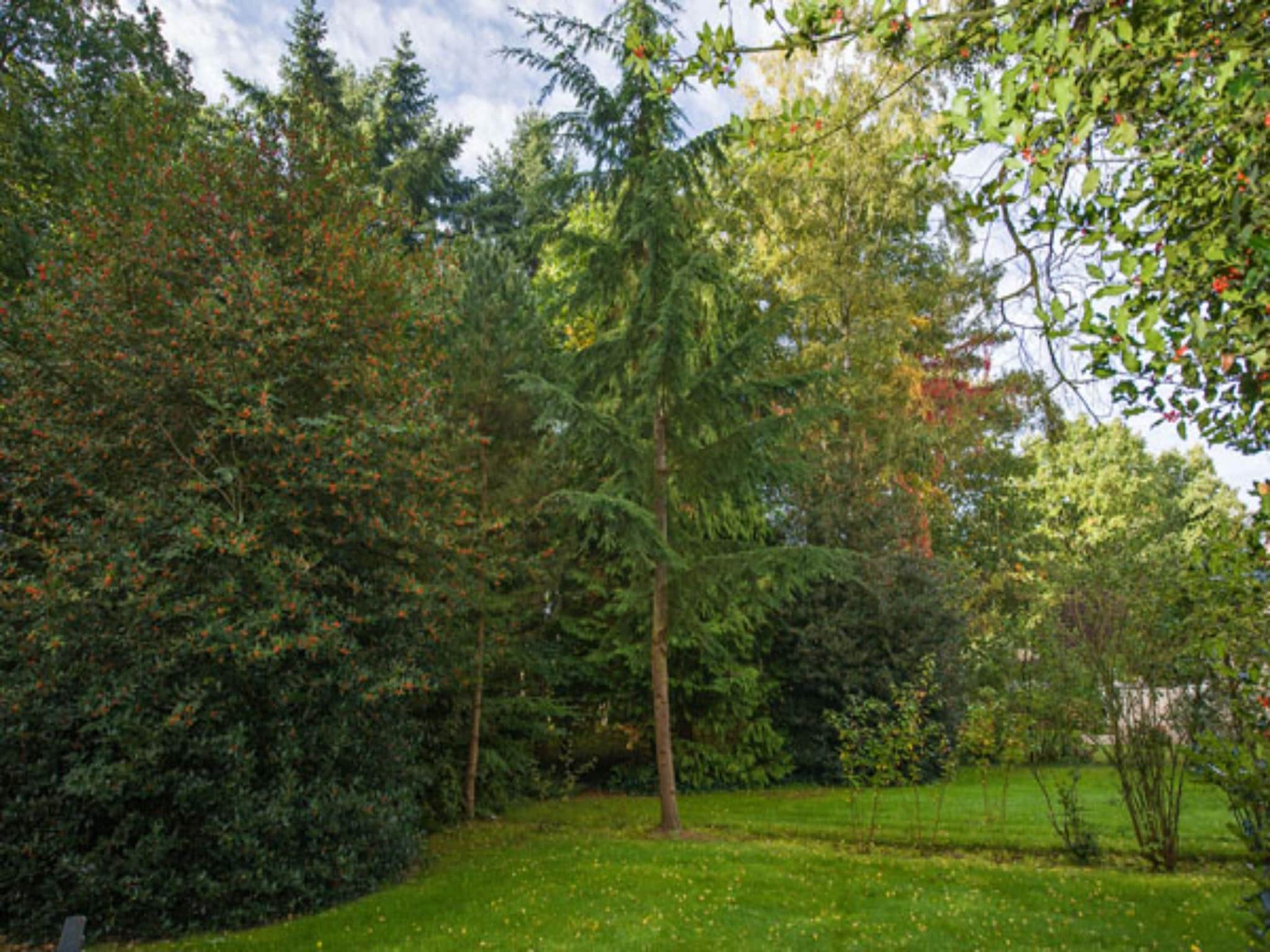   Vakantiepark Hellendoorn 2