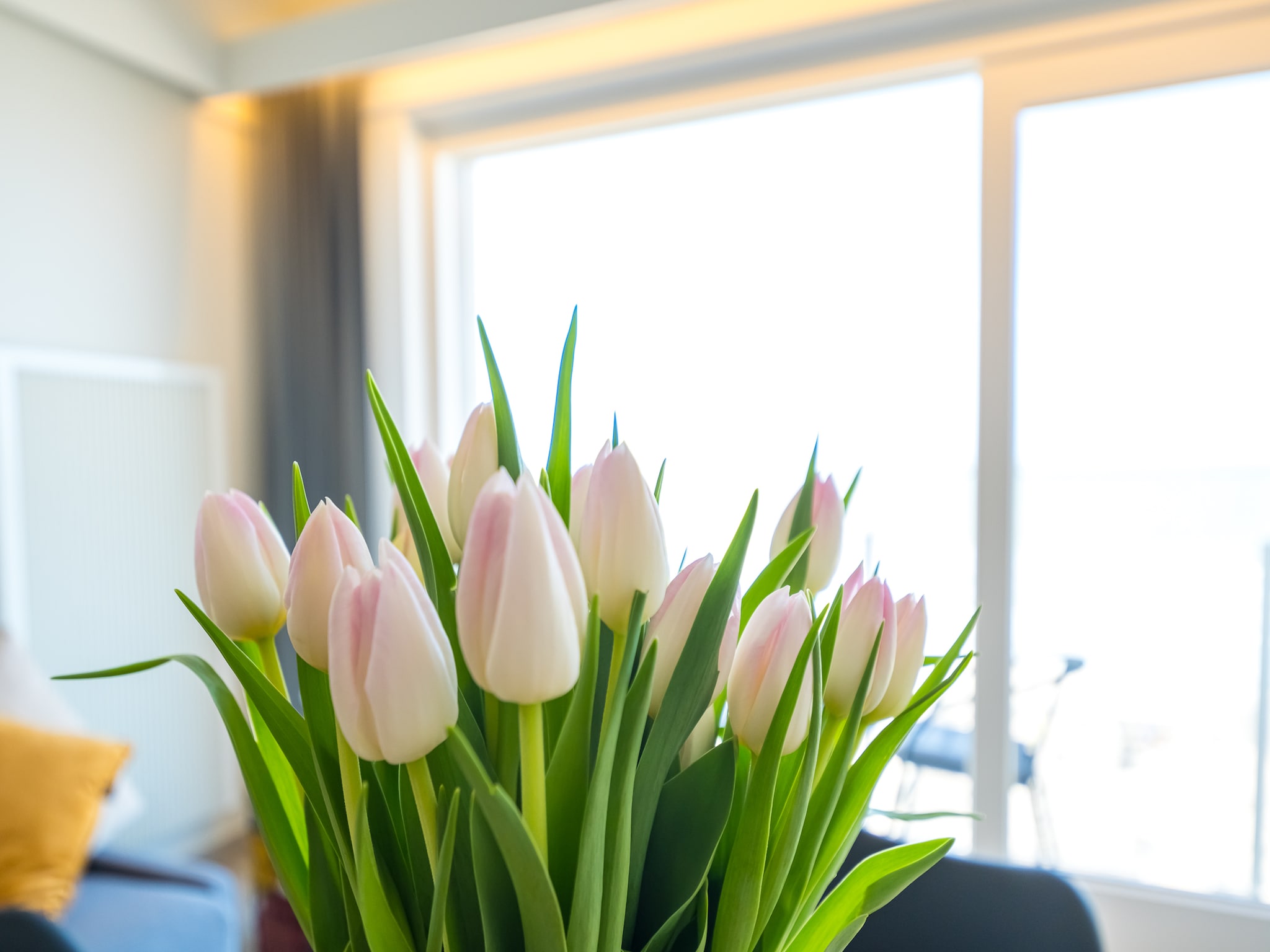 Appartement Emperador 0401