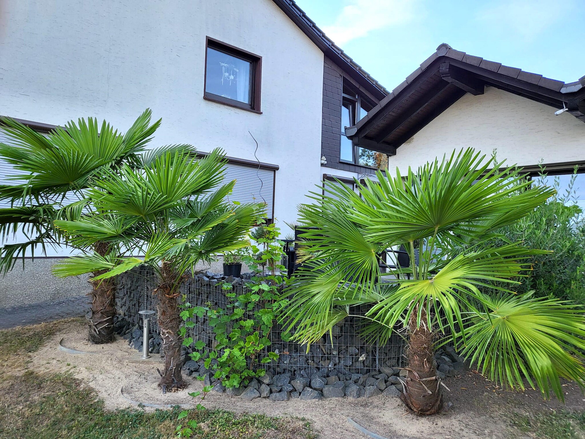 Apartment Ferienwohnung Bluzi im Westerwald