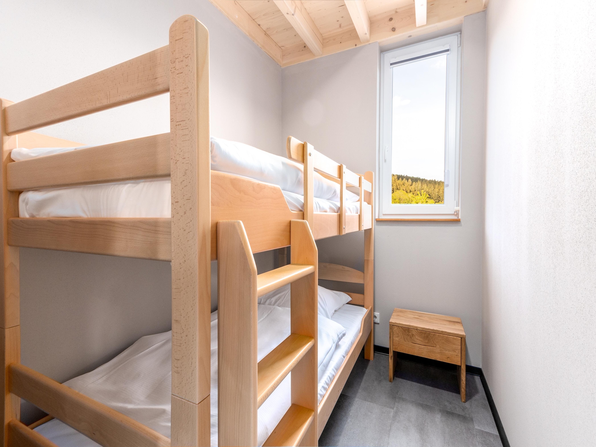 Vacation home Ferienhaus Kronenburger See