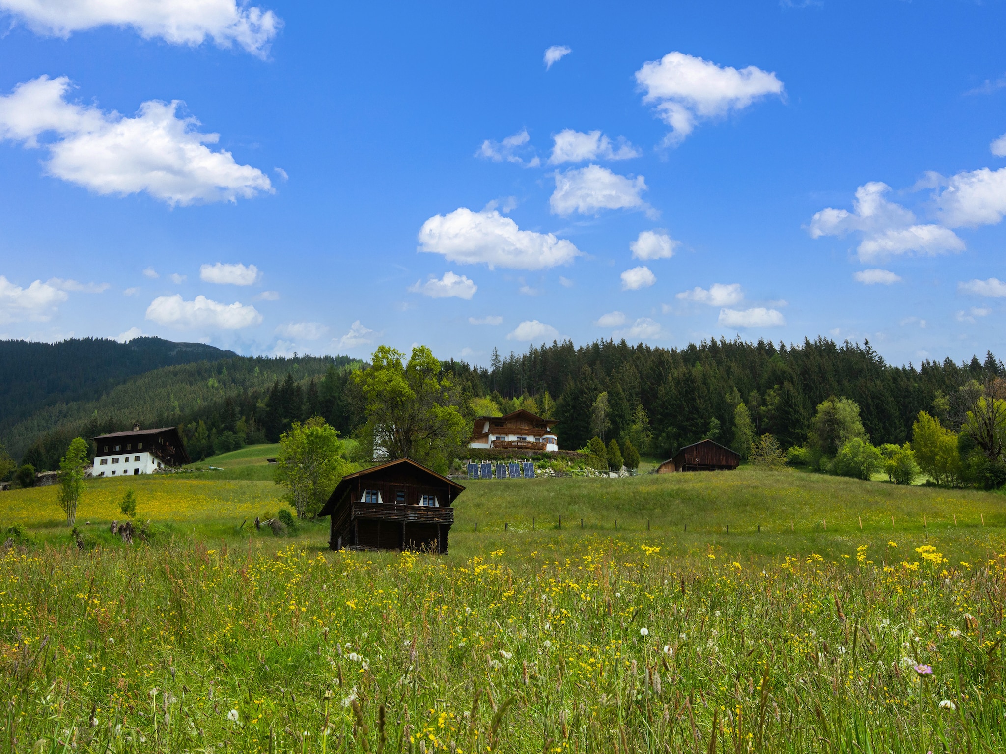 Leilighet Appart Mount Gilfert View
