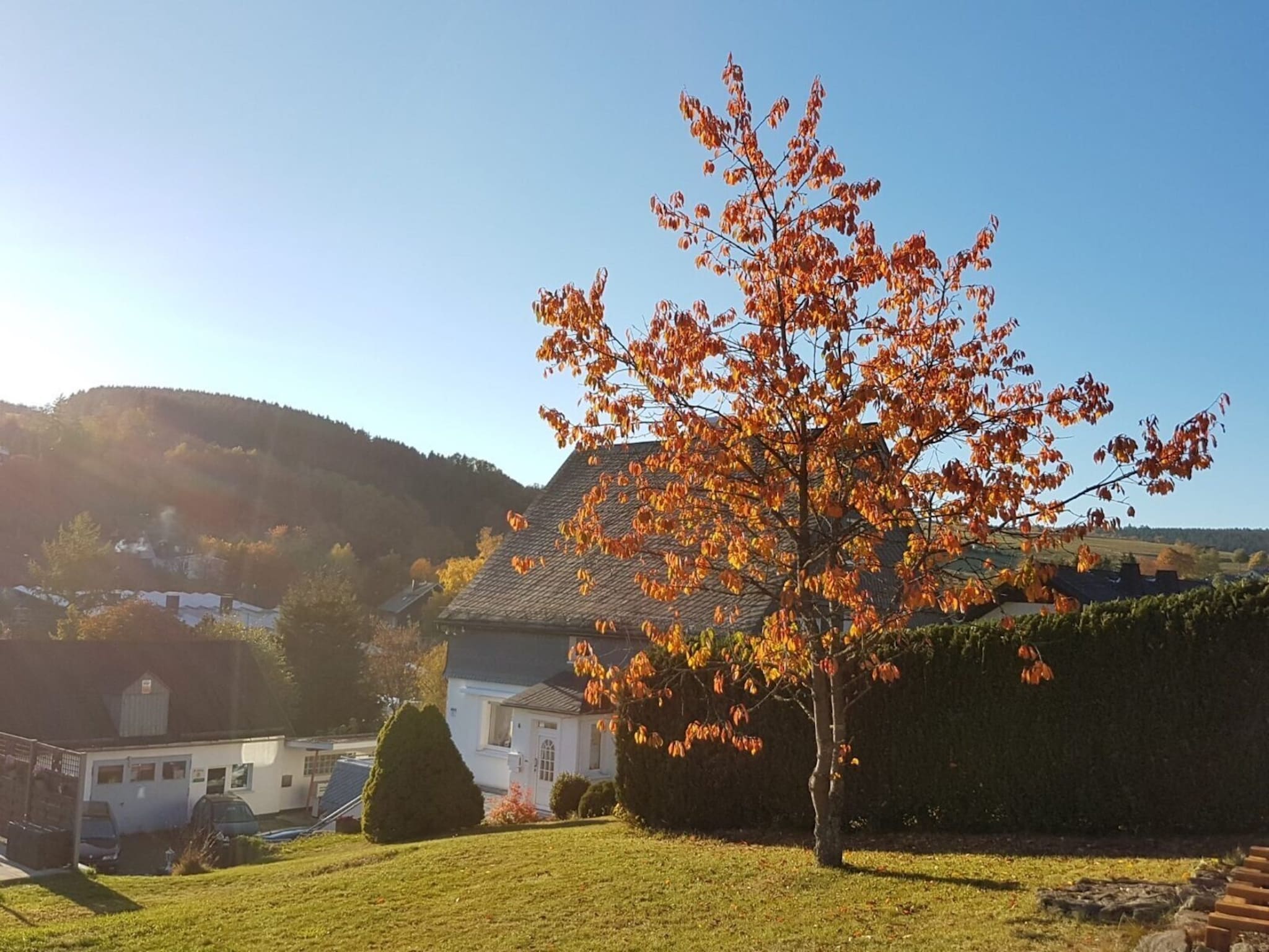   Grönebach A