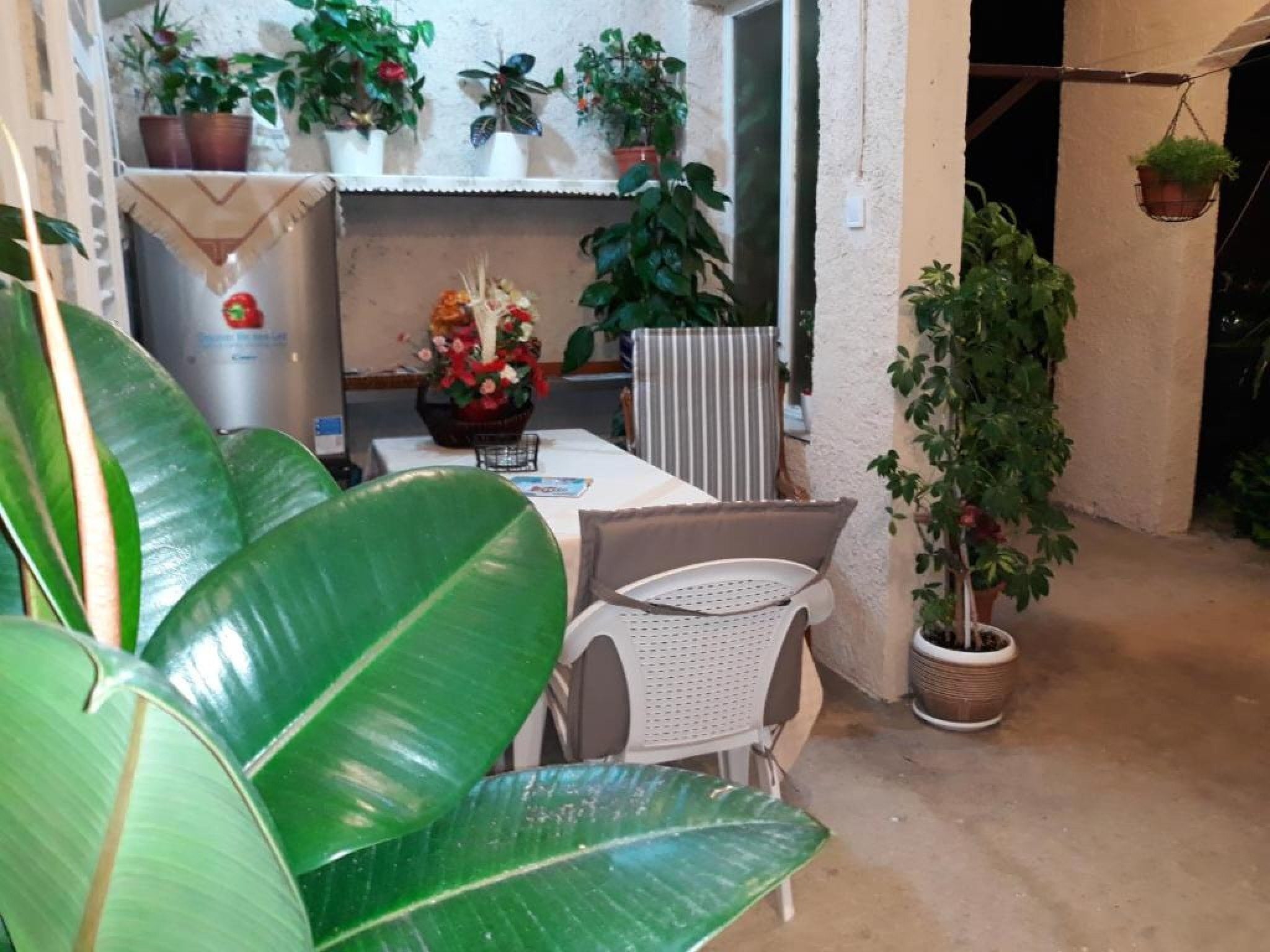 Apartmá Guest House Ruza -  Double Room with Shared Bathro