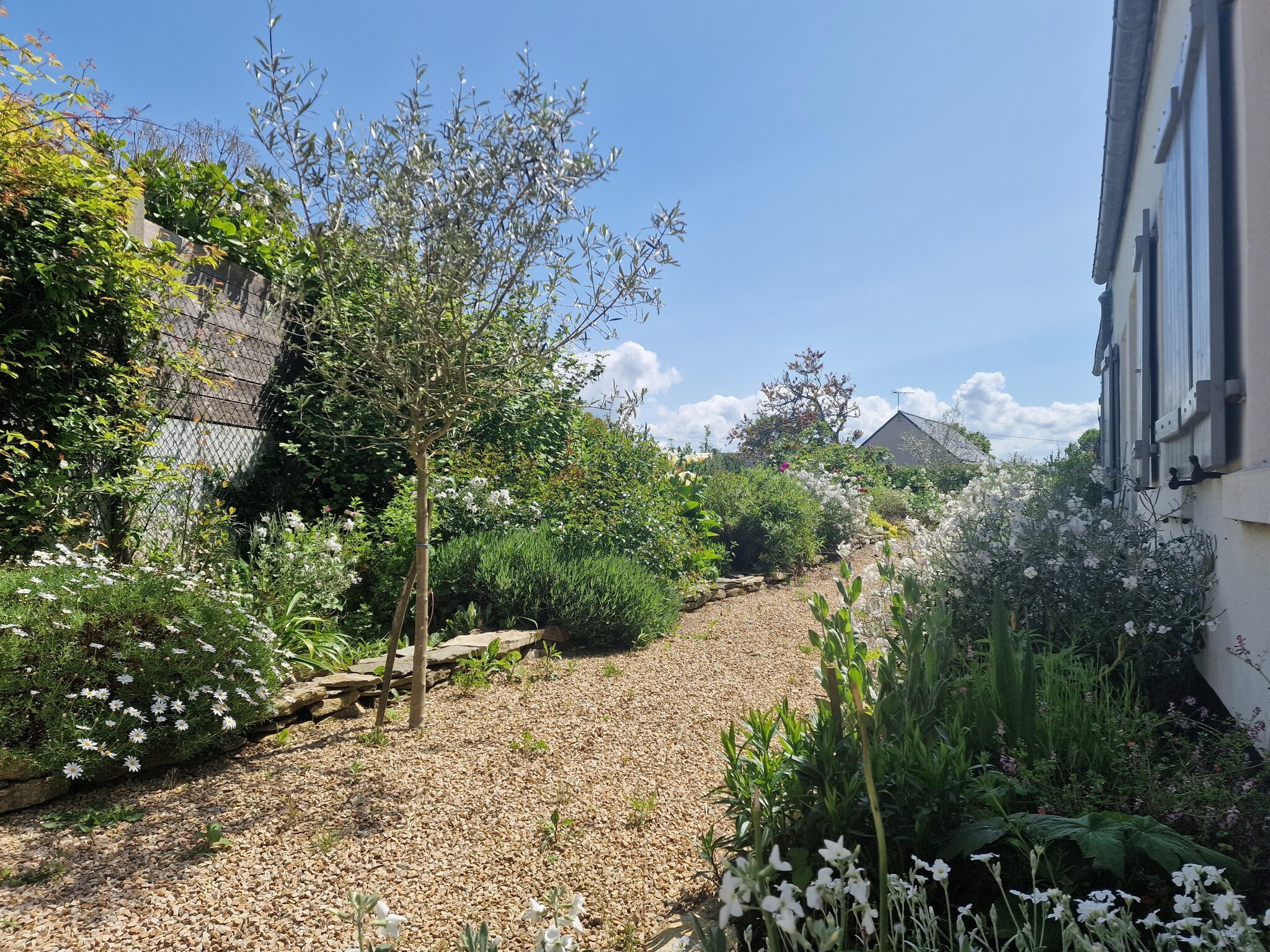   Holiday home with terrace and garden in Locquirec
