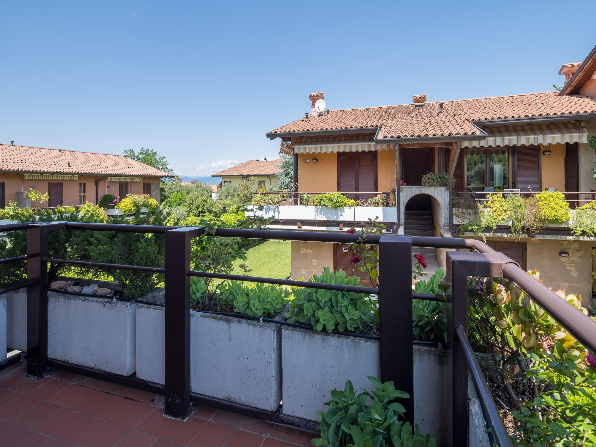   Casara F10