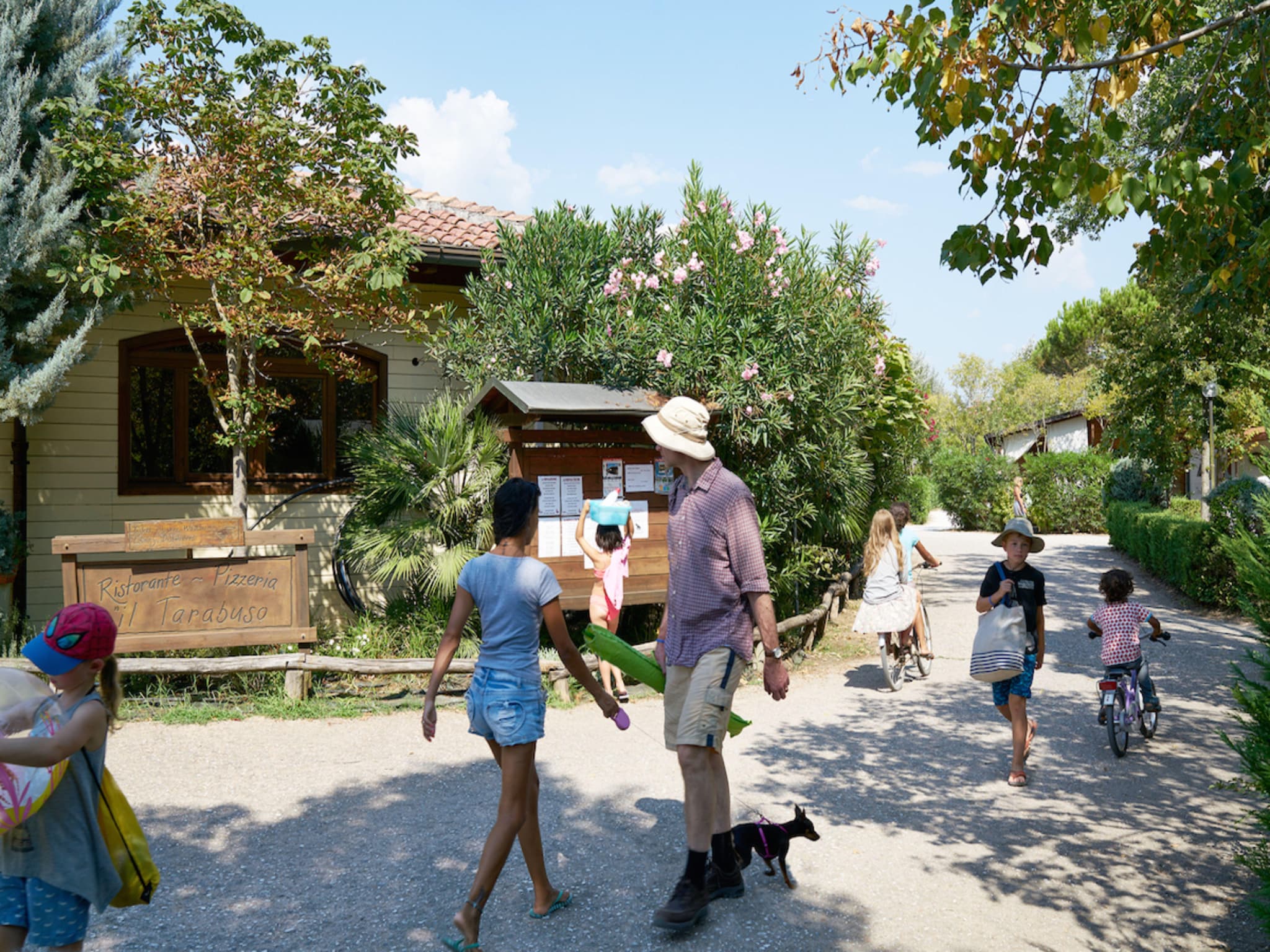   Camping Paradiso Viareggio 1