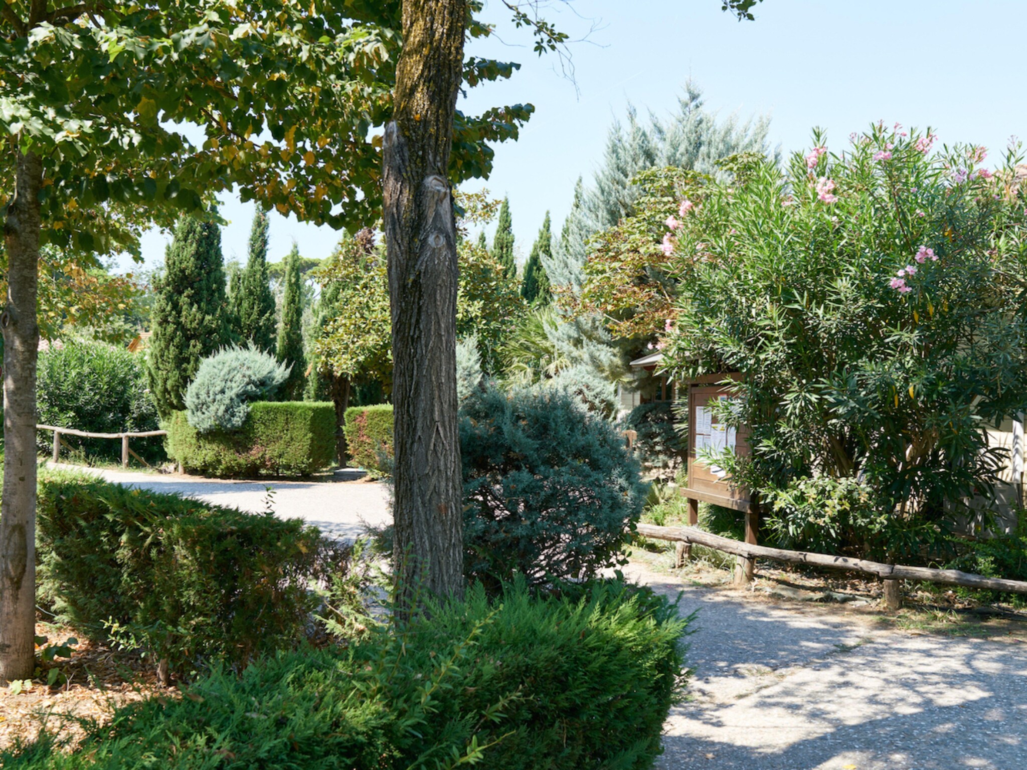   Camping Paradiso Viareggio 1