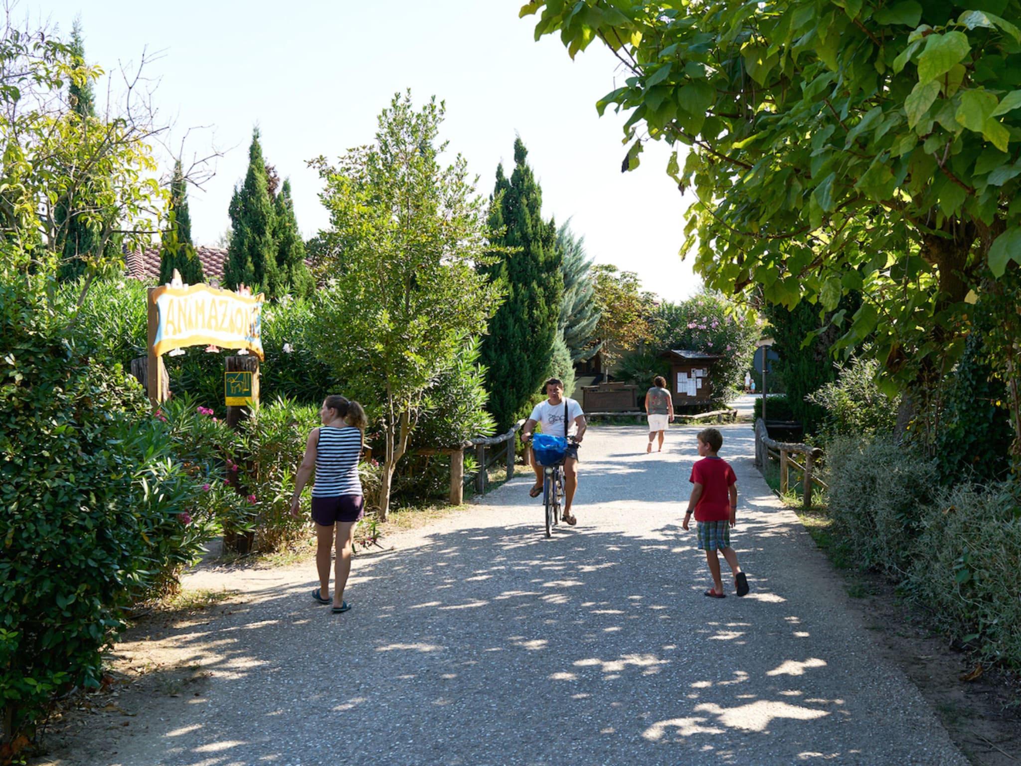   Camping Paradiso Viareggio 1