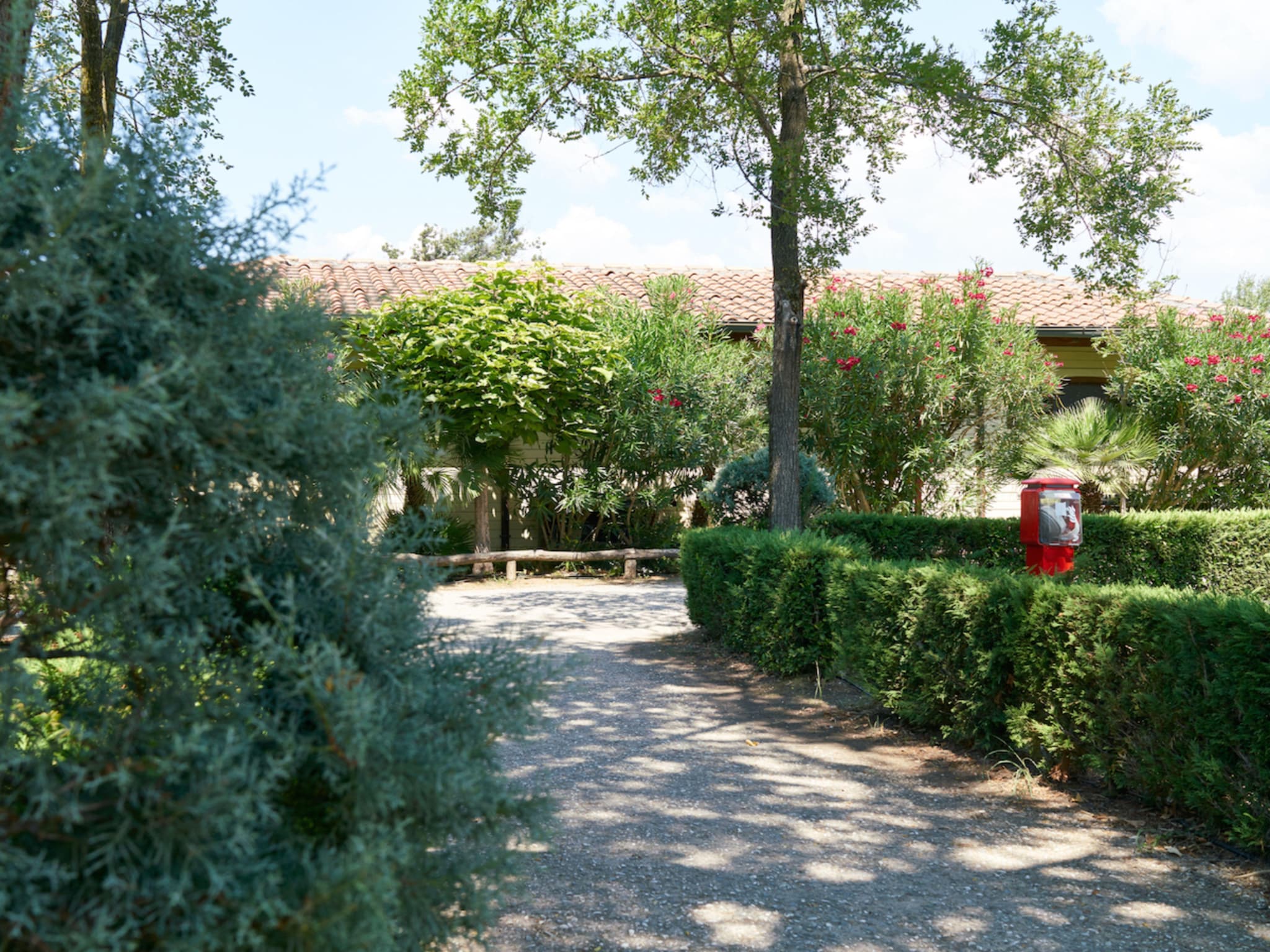   Camping Paradiso Viareggio 1