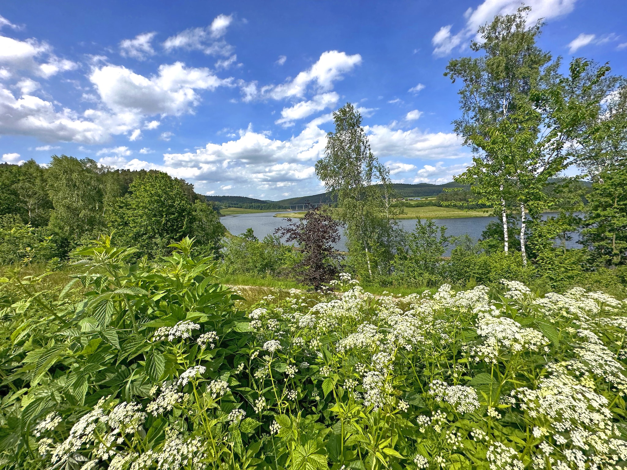   FERIENDORF SEEBLICK - Tiny Chalet am Eixendorfer S