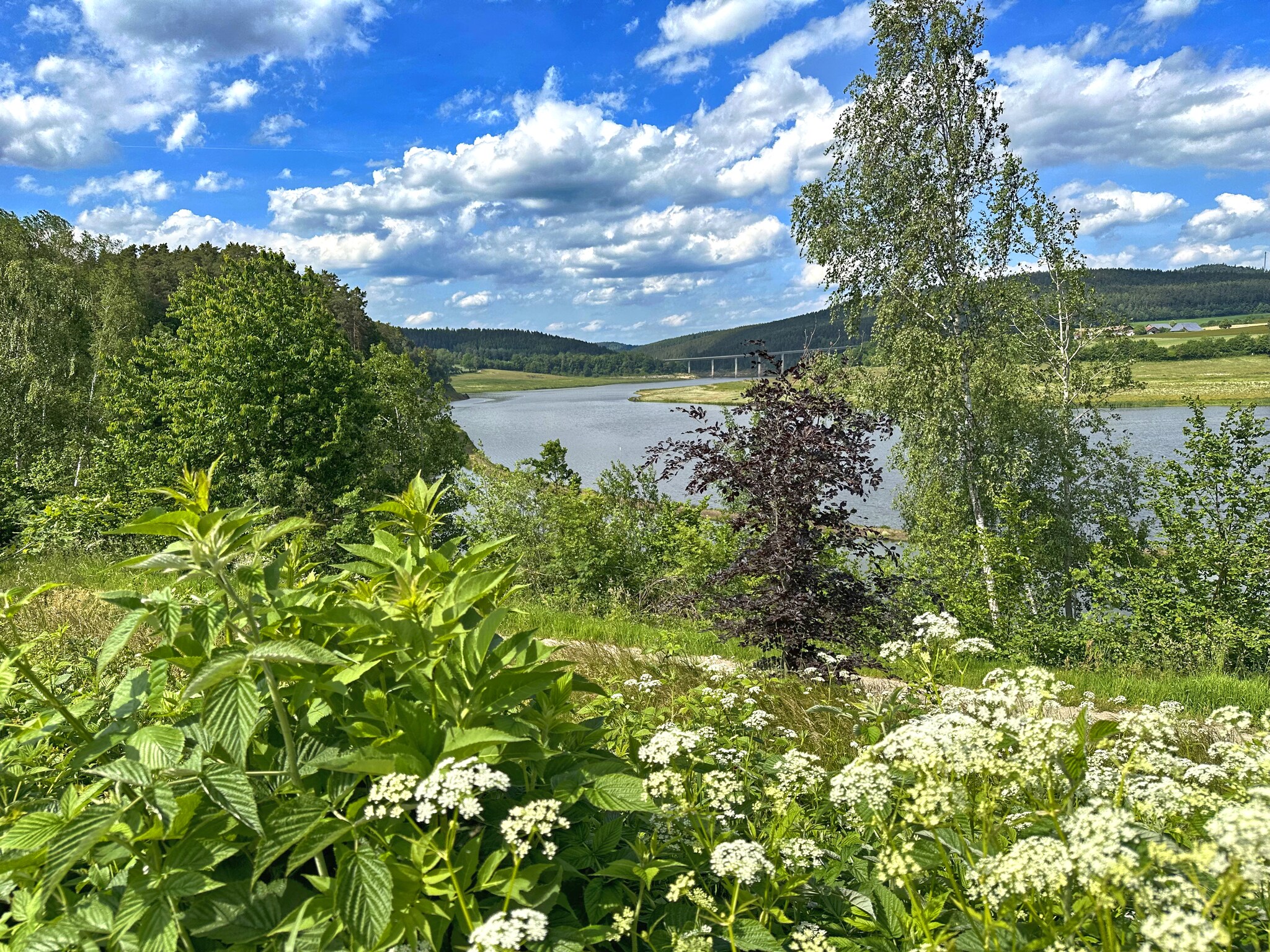   FERIENDORF SEEBLICK - Tiny Chalet am Eixendorfer S