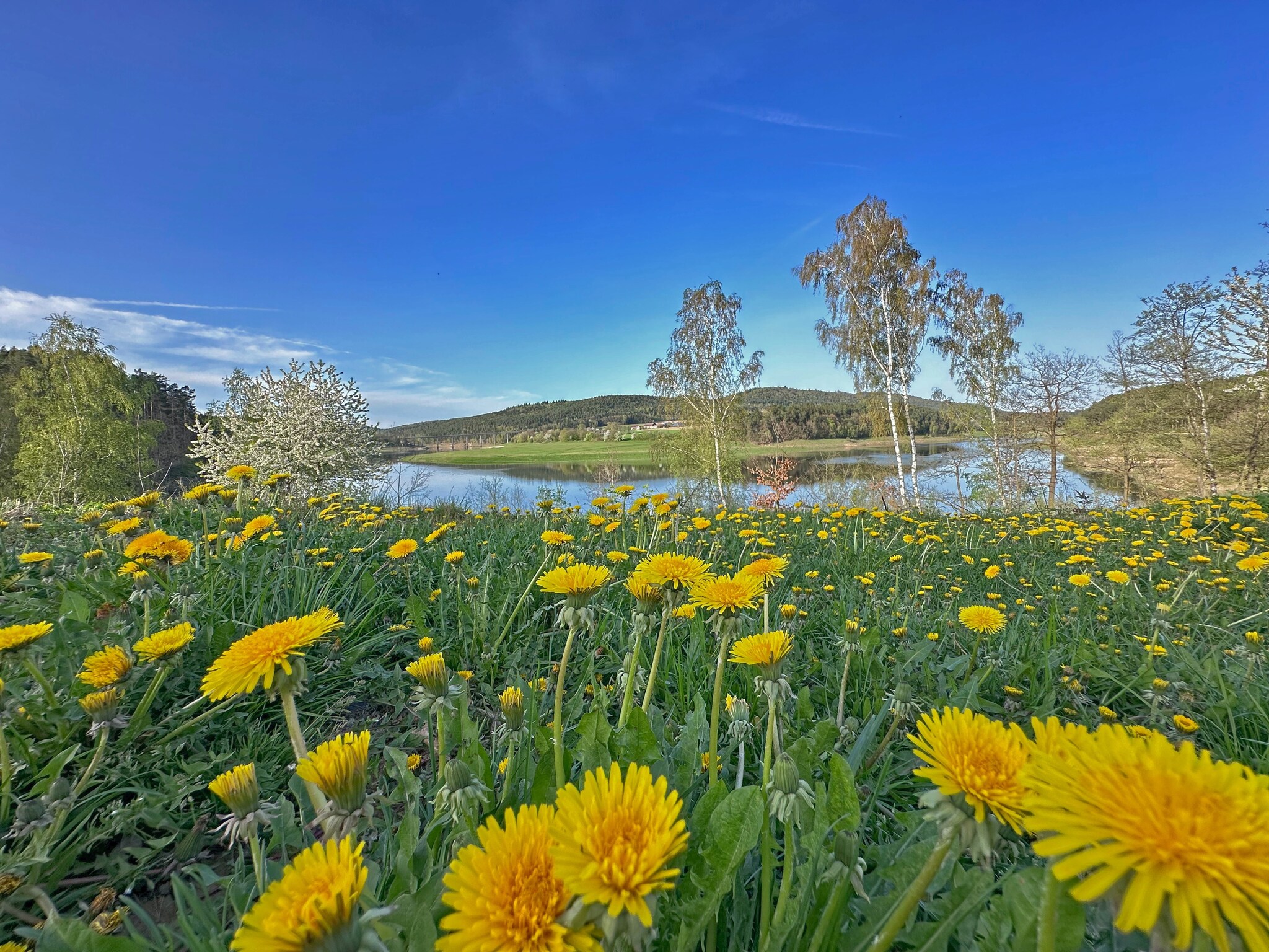   FERIENDORF SEEBLICK - Tiny Chalet am Eixendorfer S