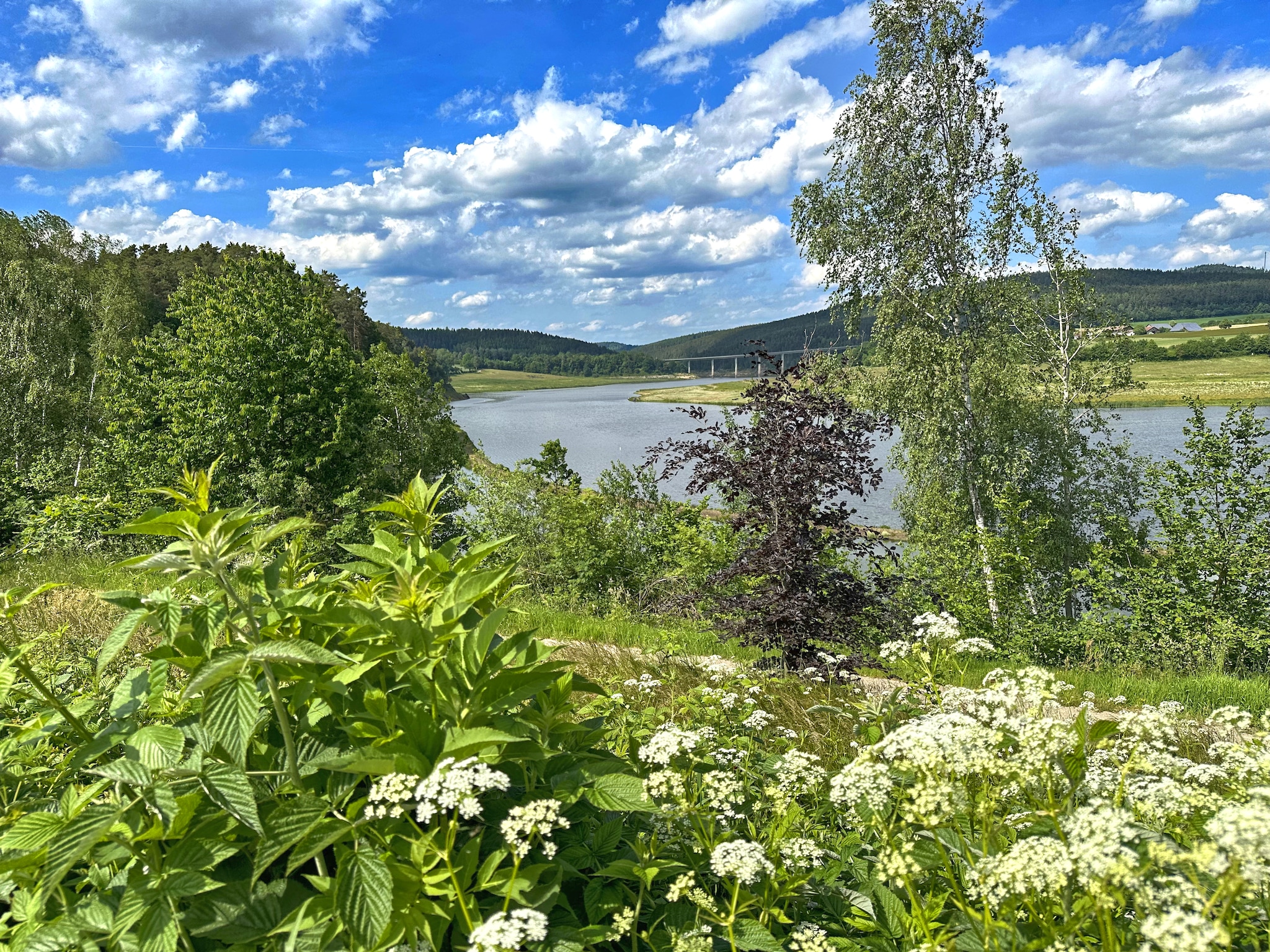   FERIENDORF SEEBLICK - Tiny Chalet am Eixendorfer S