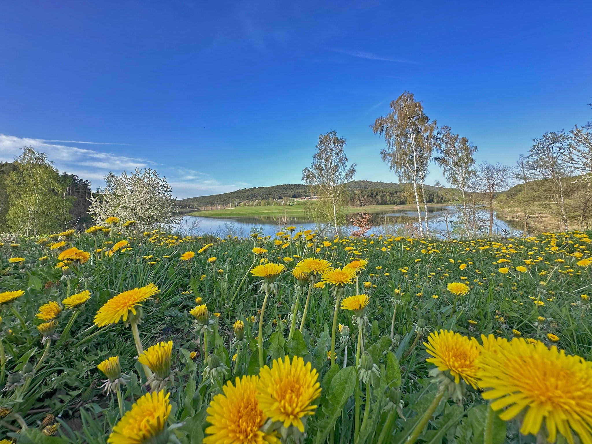   FERIENDORF SEEBLICK - Tiny Chalet am Eixendorfer S