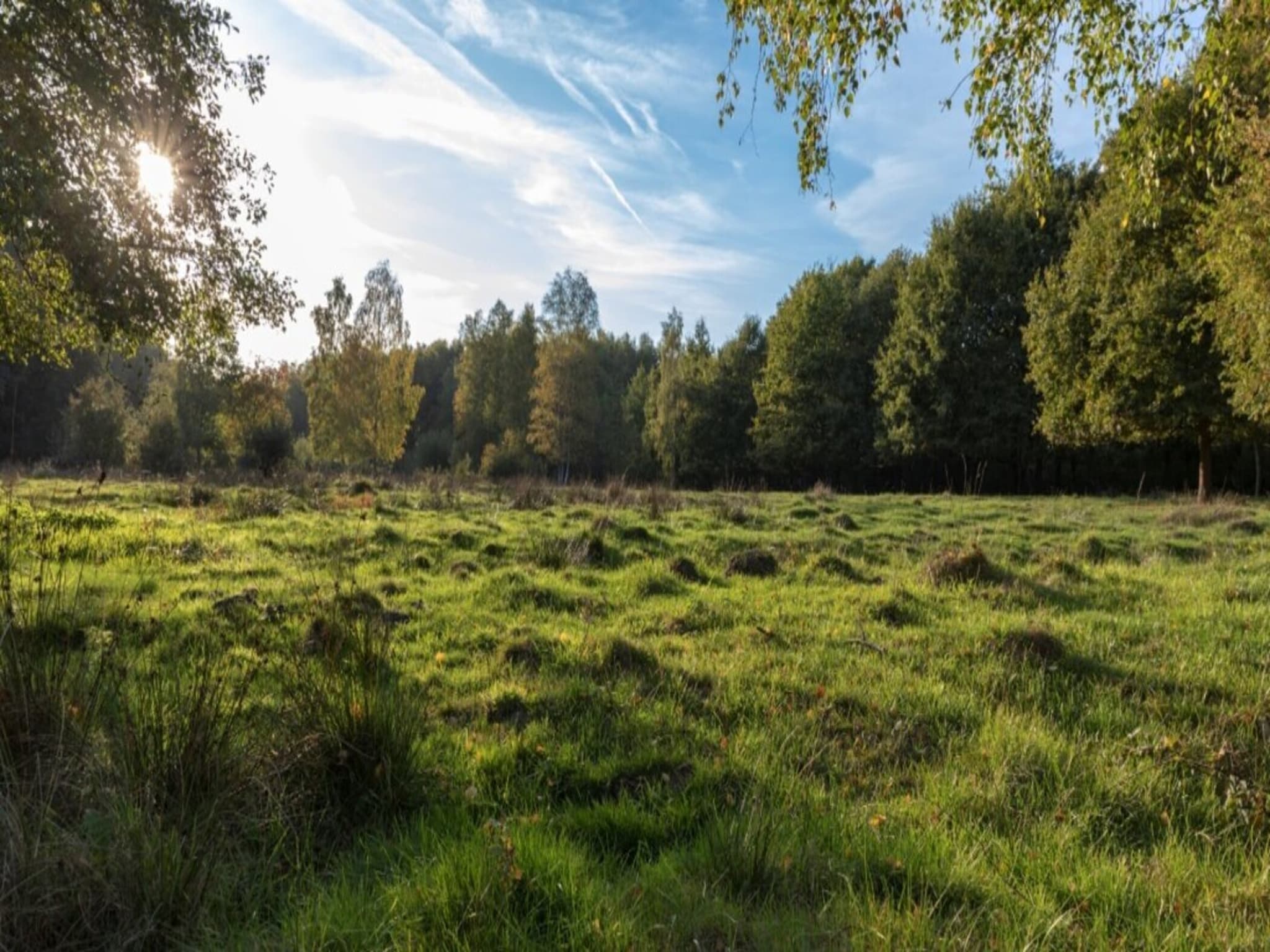 Vakantiehuis Resort Hoge Kempen 14