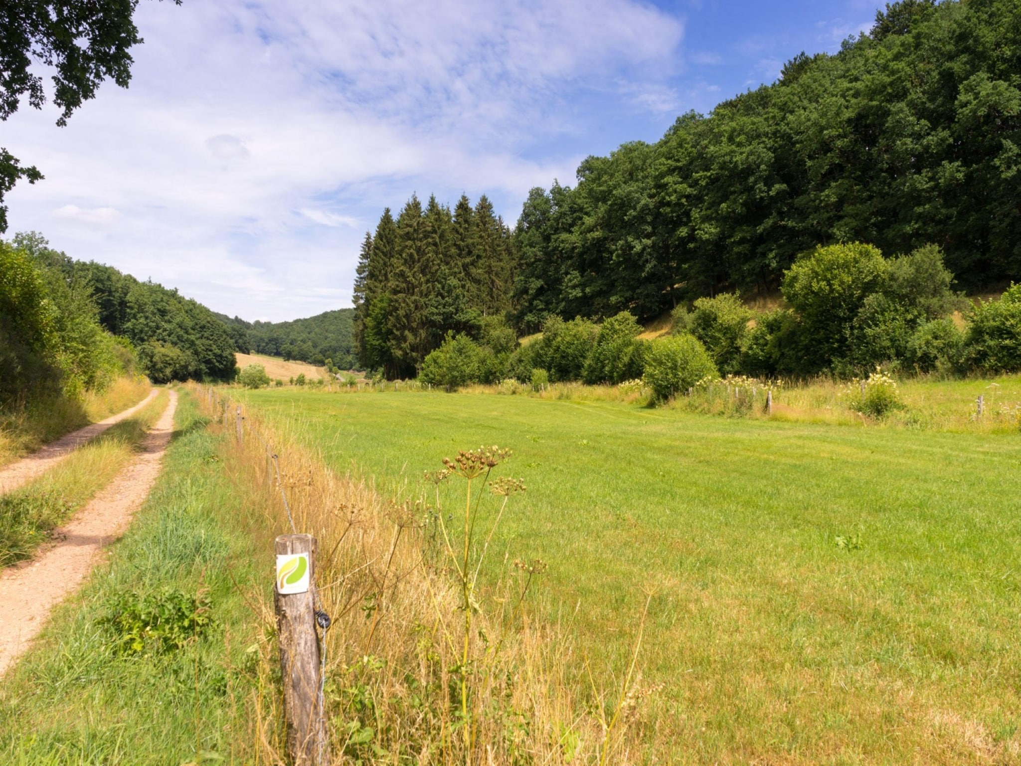   Bungalow Luxus Typ Z Campingpark Eifel