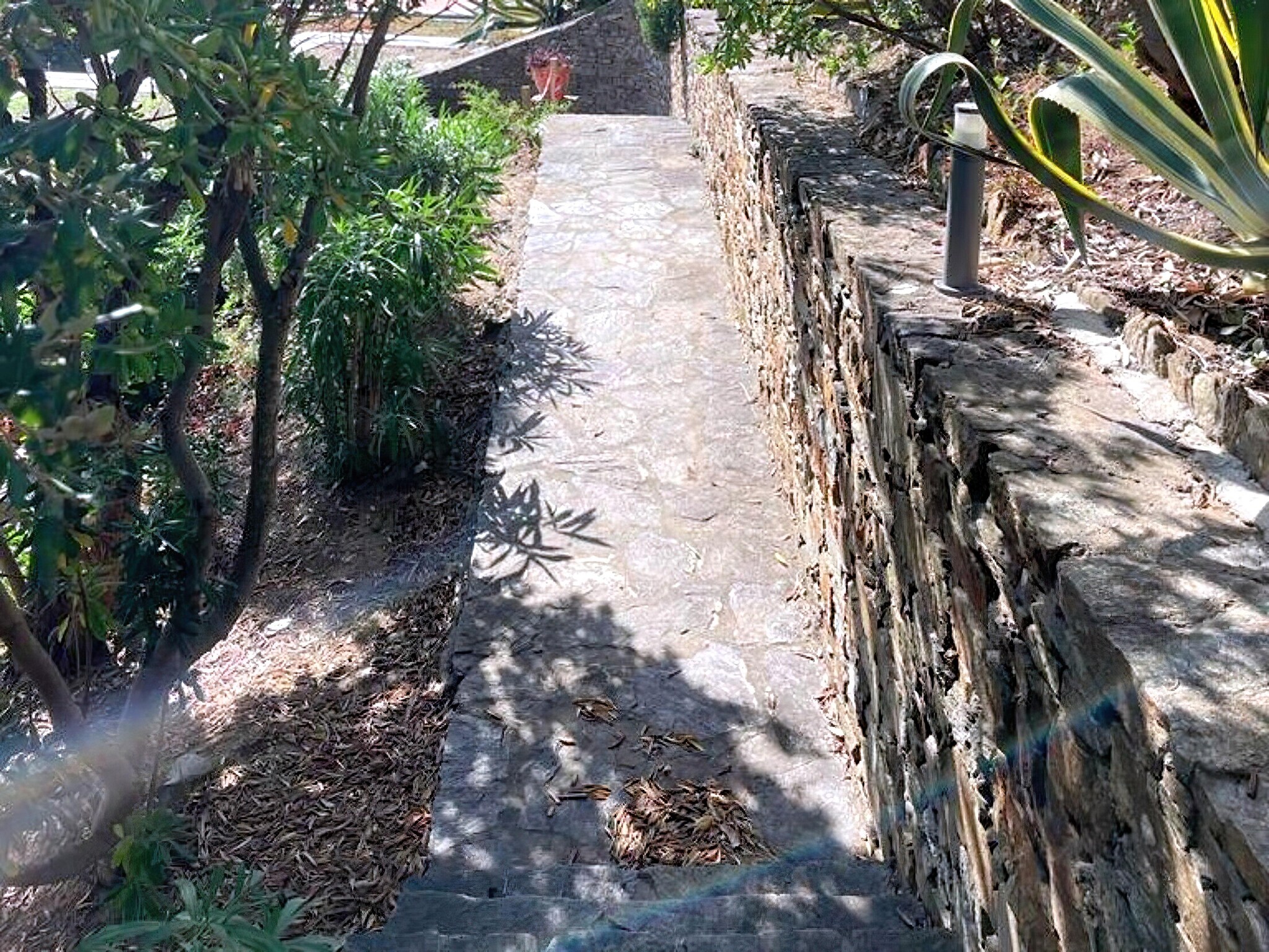   VILLA LA FOURMIGUE/ TEXIDO