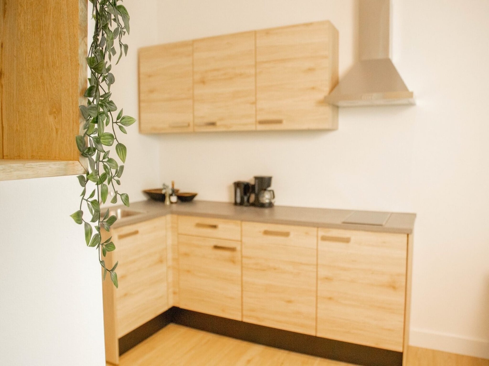 Ferienwohnung Apartment Am Eschenberg 3