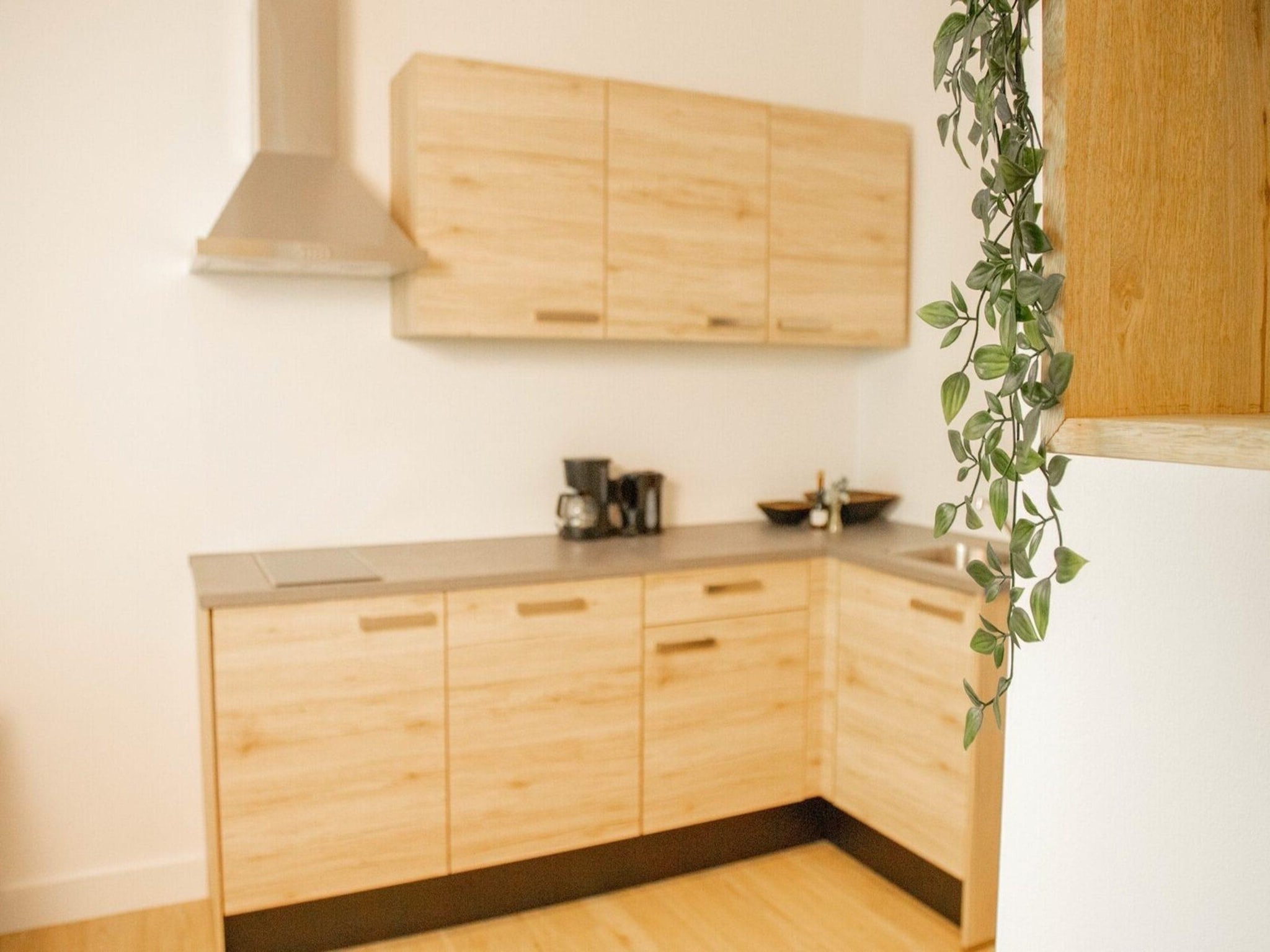 Ferienwohnung Apartment Am Eschenberg 3