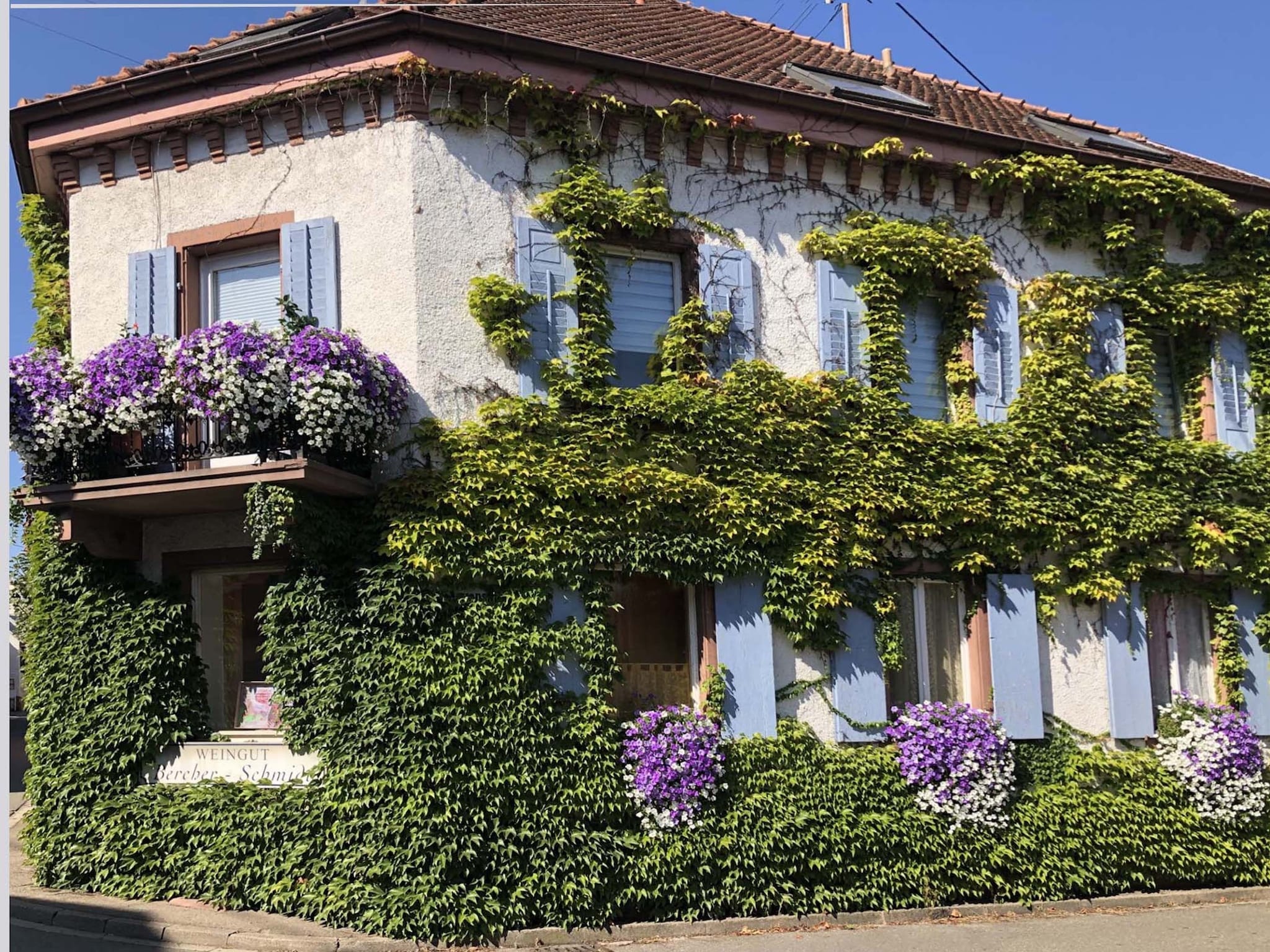 Appartement Van Gogh