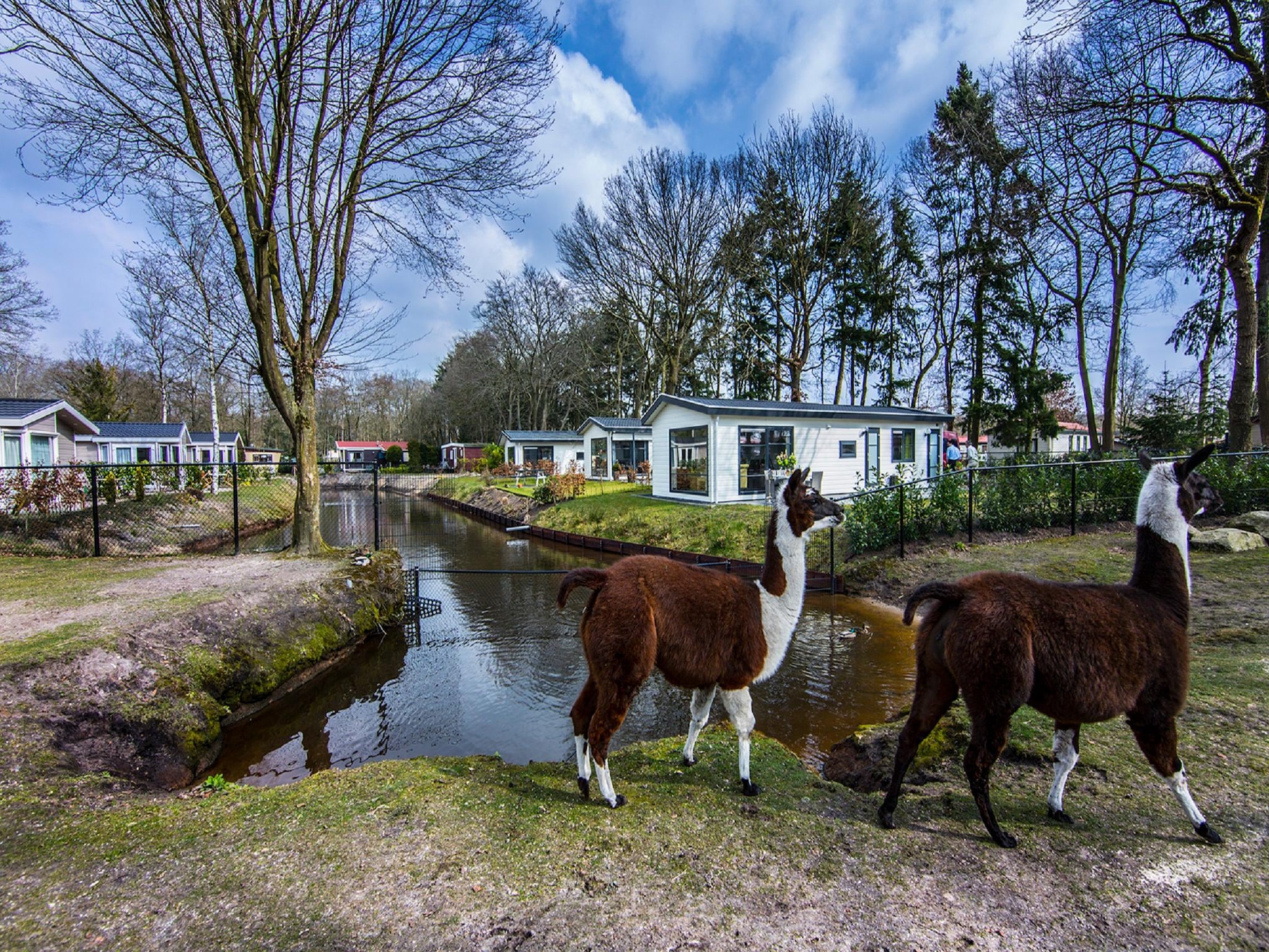 Vakantiehuis Residence De Eese 35