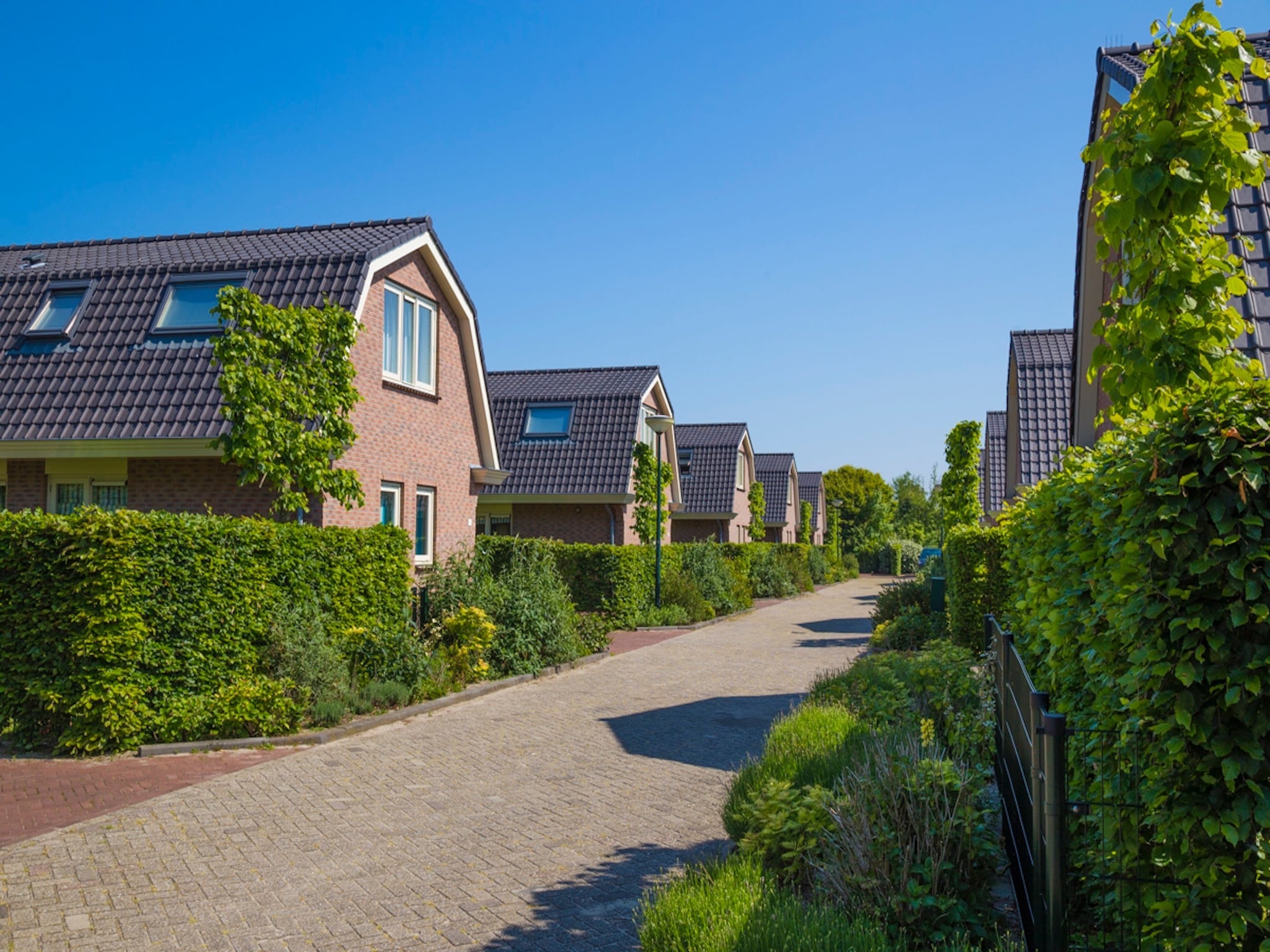   Vakantiepark Duinrust 2