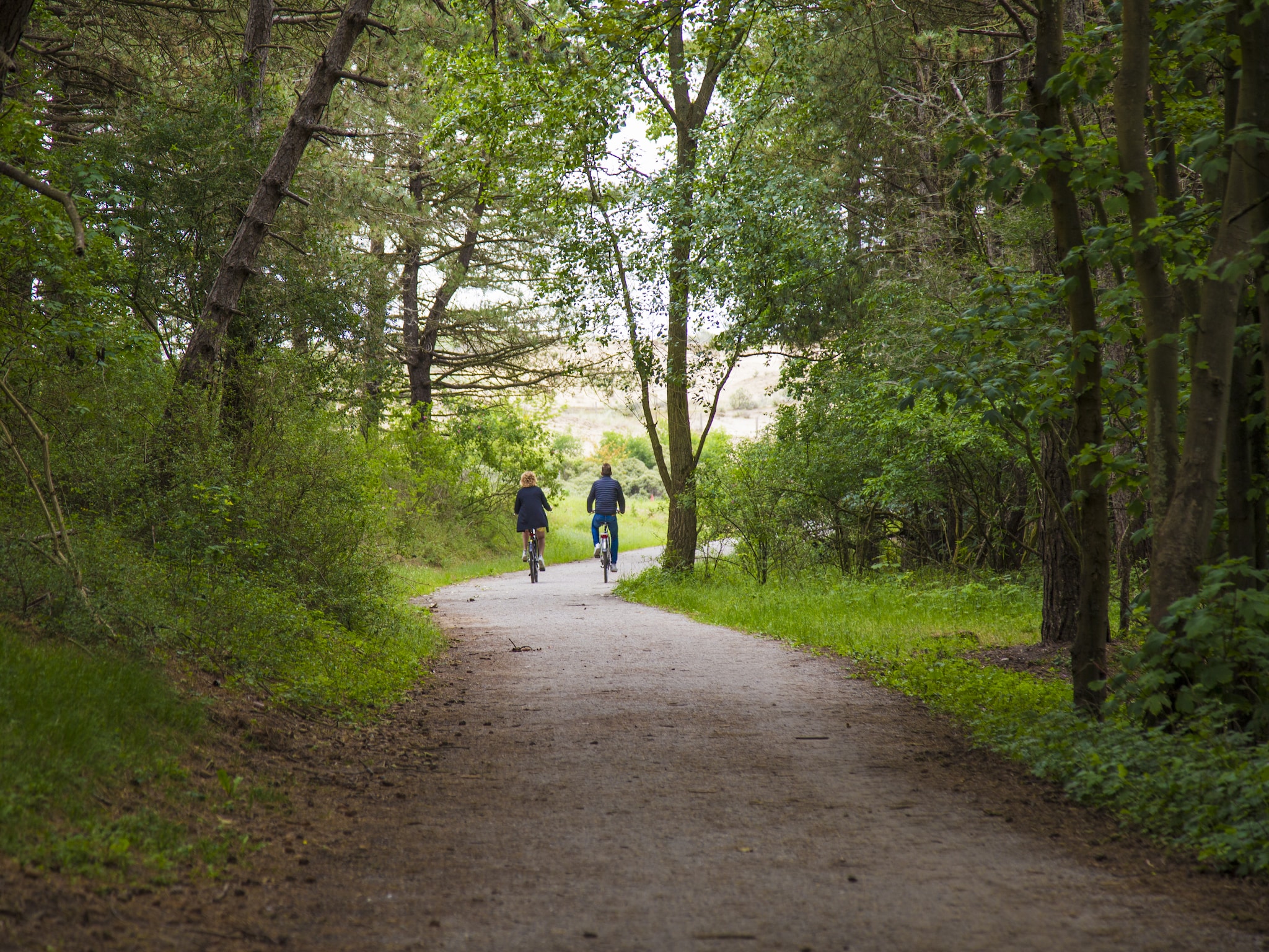   Vakantiepark Duinrust 2