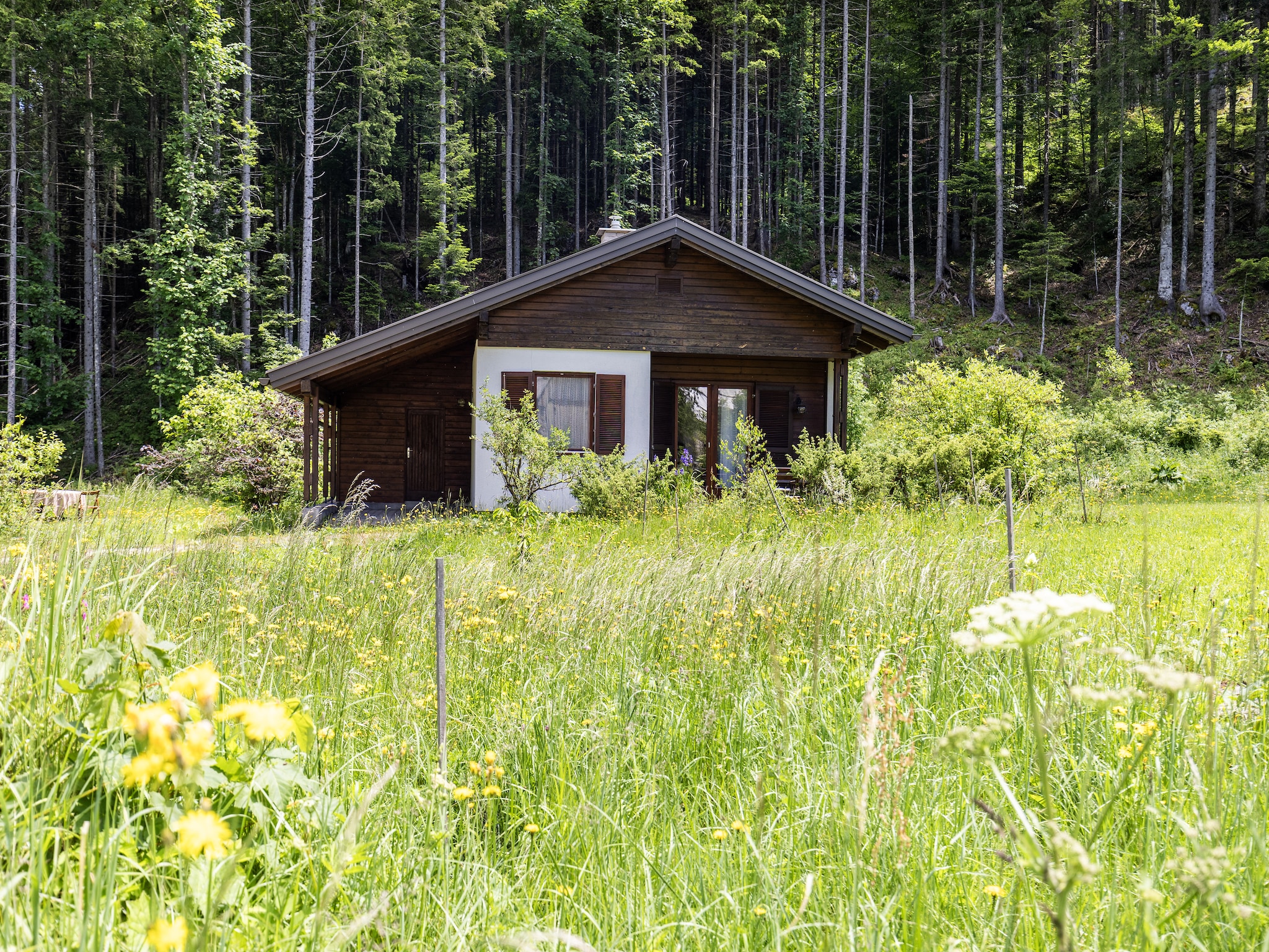   	 Ferienhaus Bodental