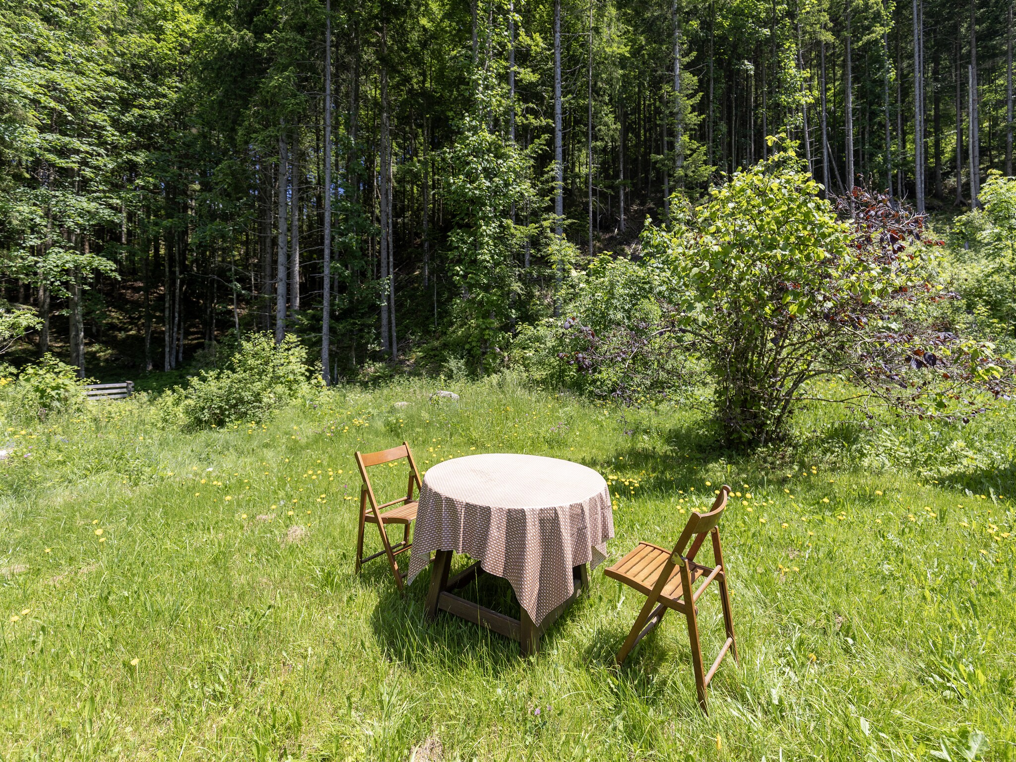   	 Ferienhaus Bodental