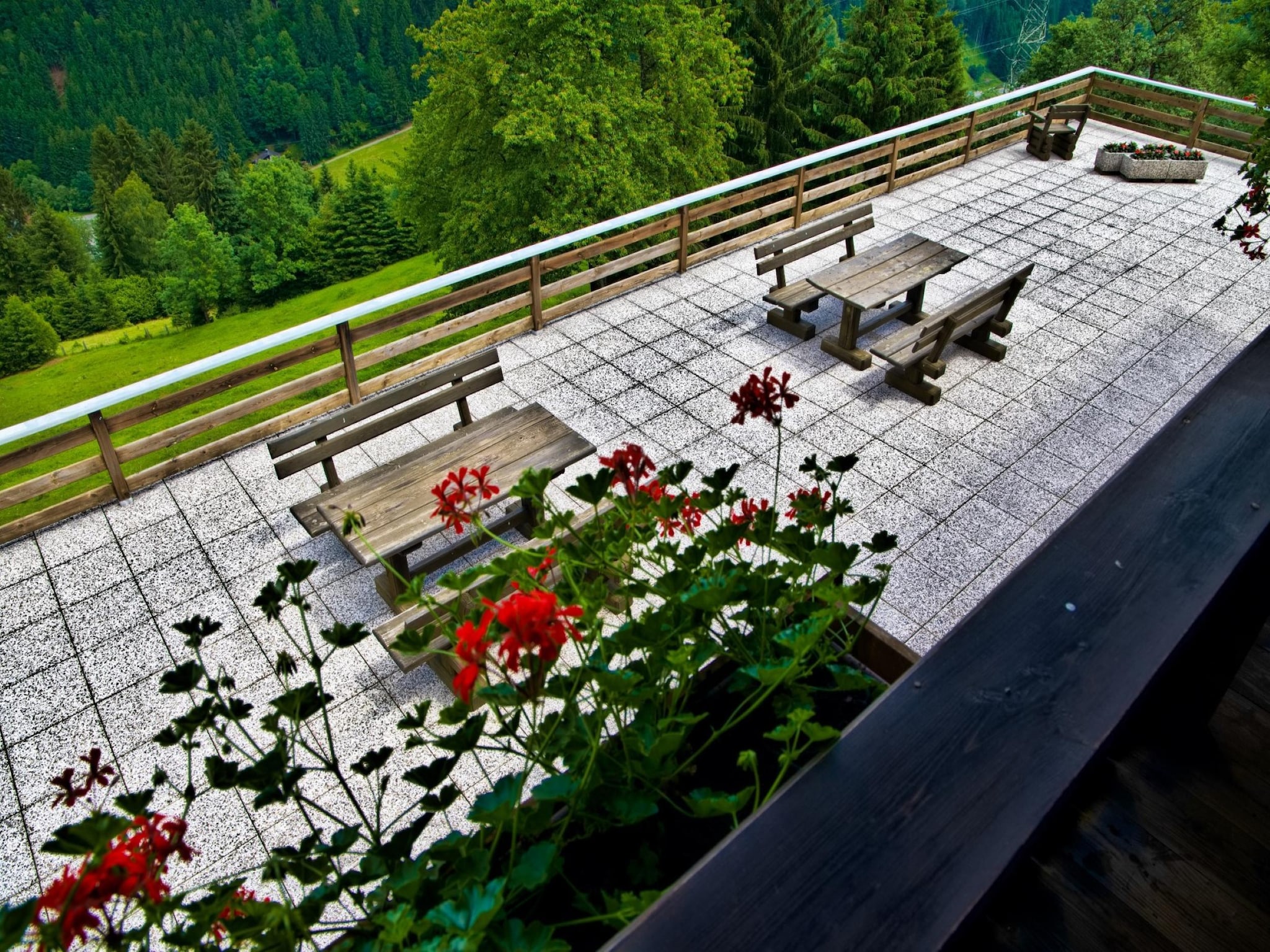   Grafhube Appartements - ganzes Haus
