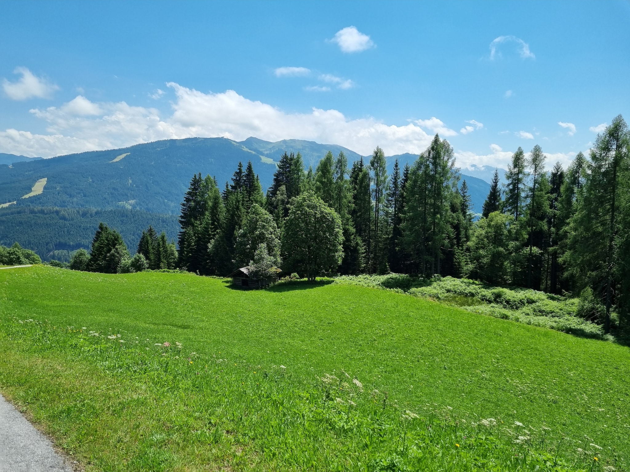 Ferienwohnung Apartment Bergblick