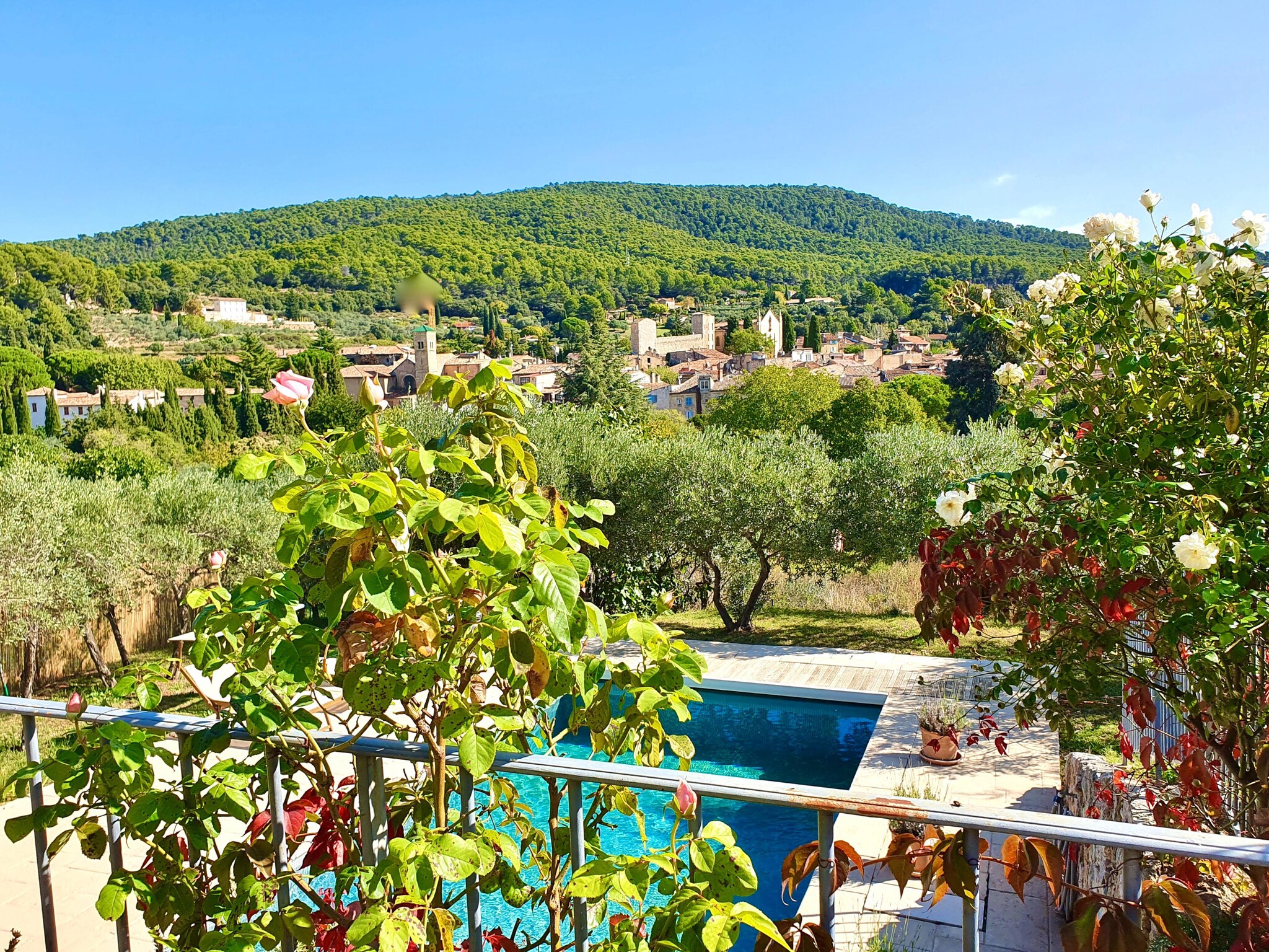   Villa Brancassi