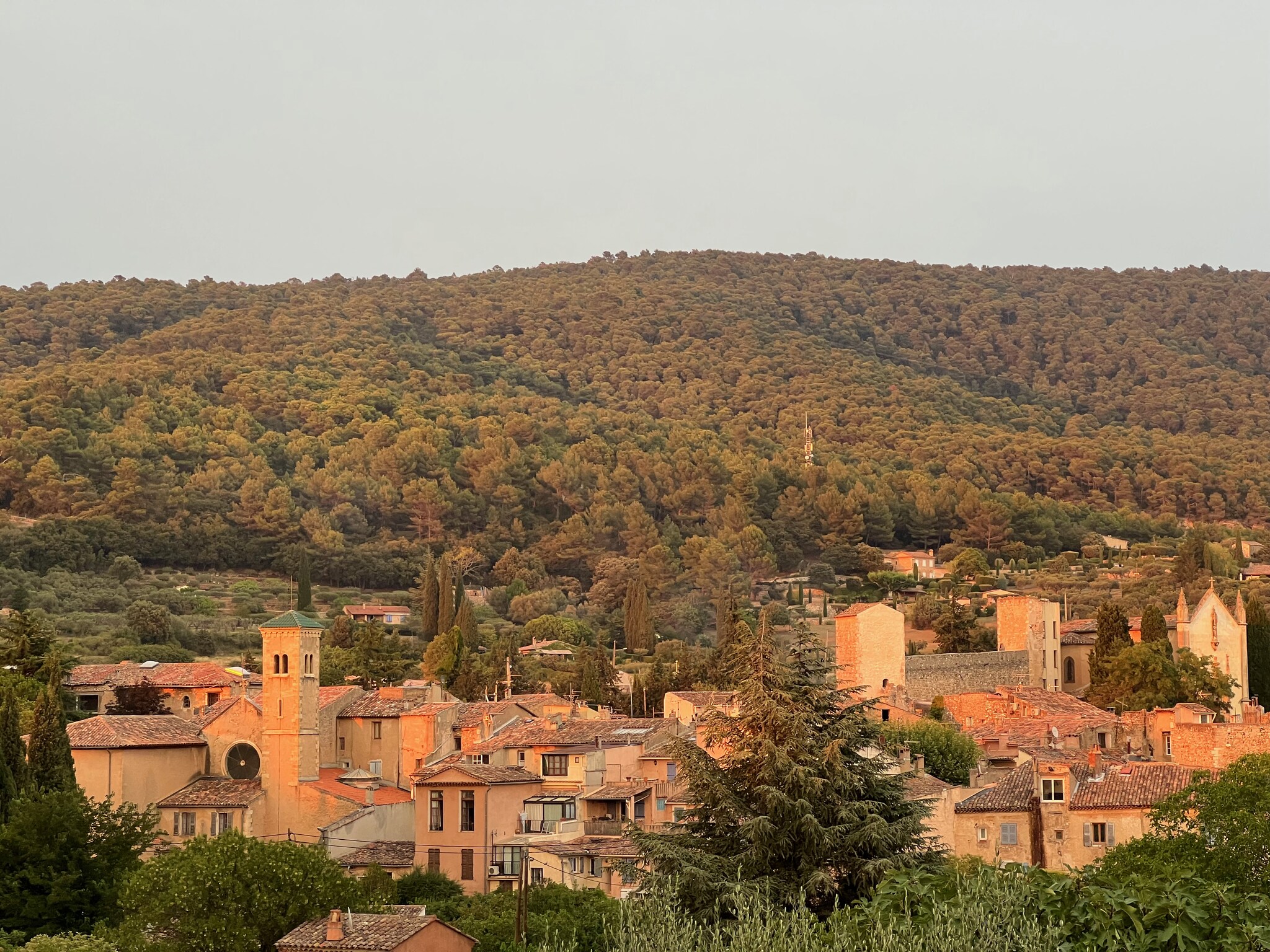   Villa Brancassi