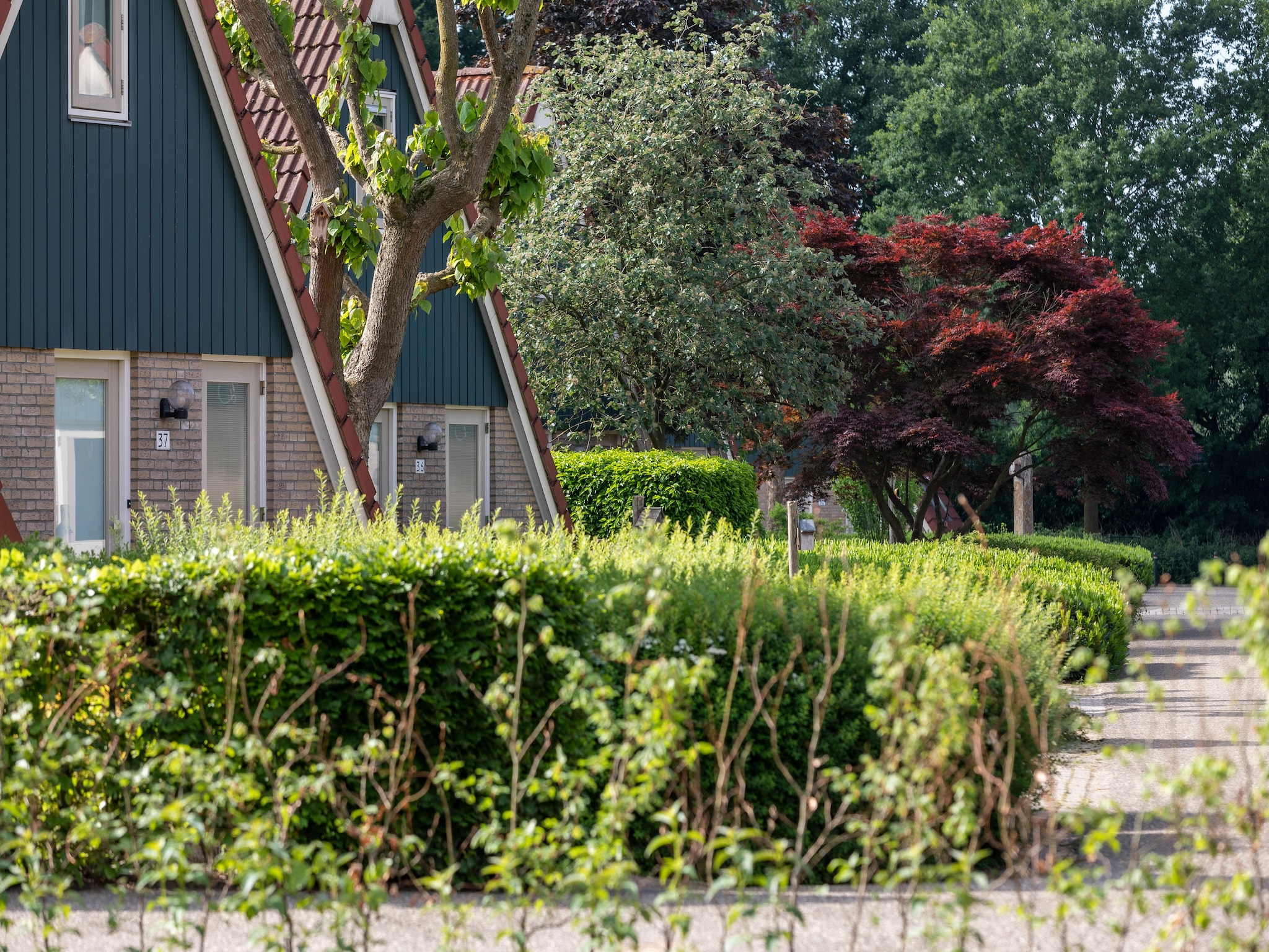   Vakantie bij Meeussen - Molendal 4