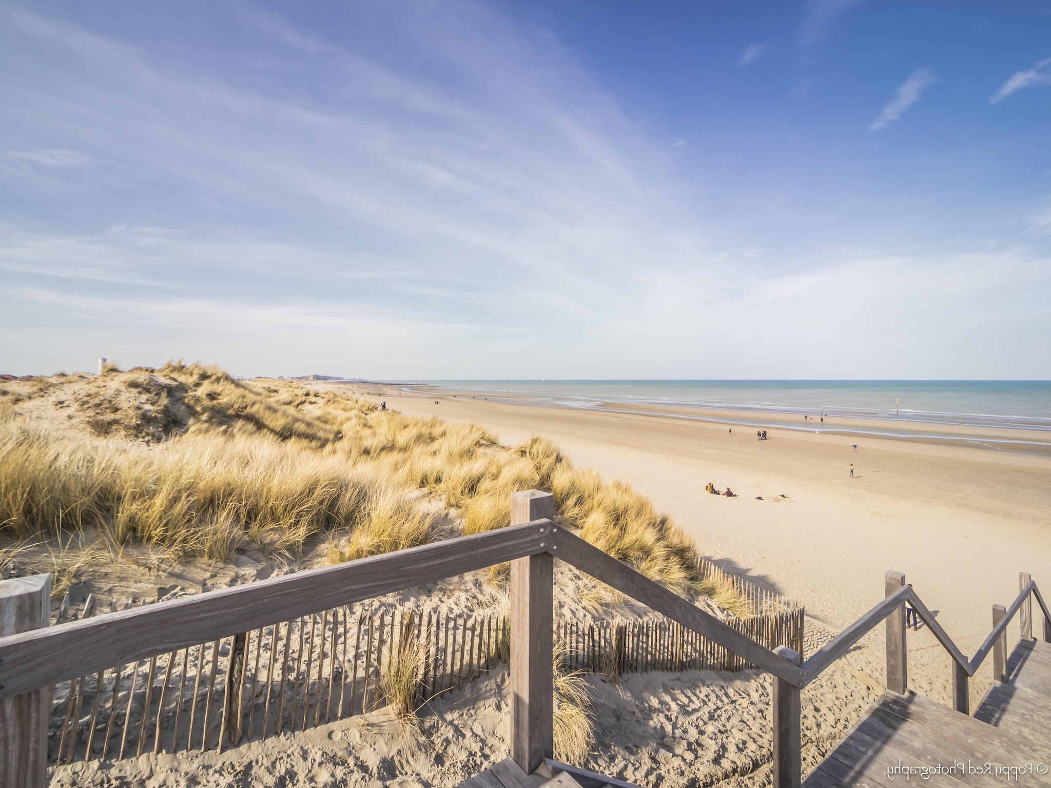 Apartment SANDY CAPE 401