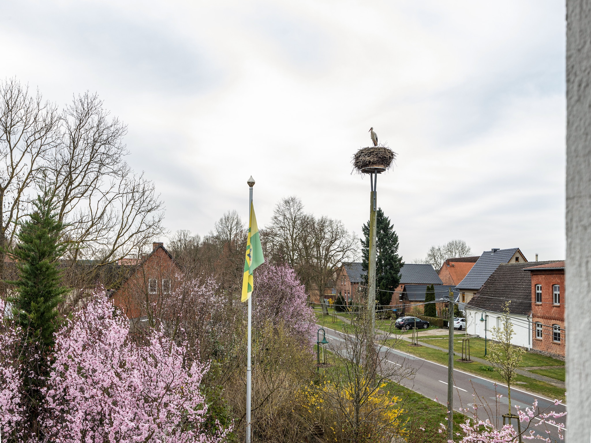 Ferienwohnung Studio 6 - Storchenhorst 2 Personen