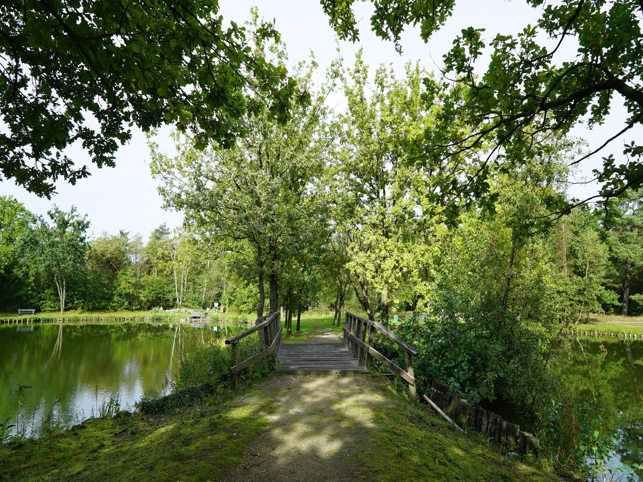   Resort Zilverstrand 13