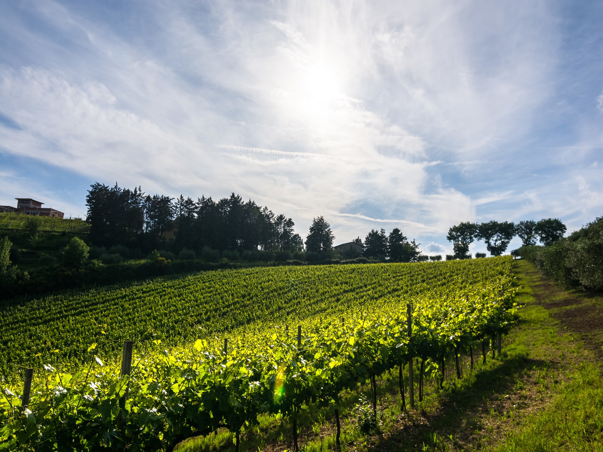 Vacation home Il Mandorlo
