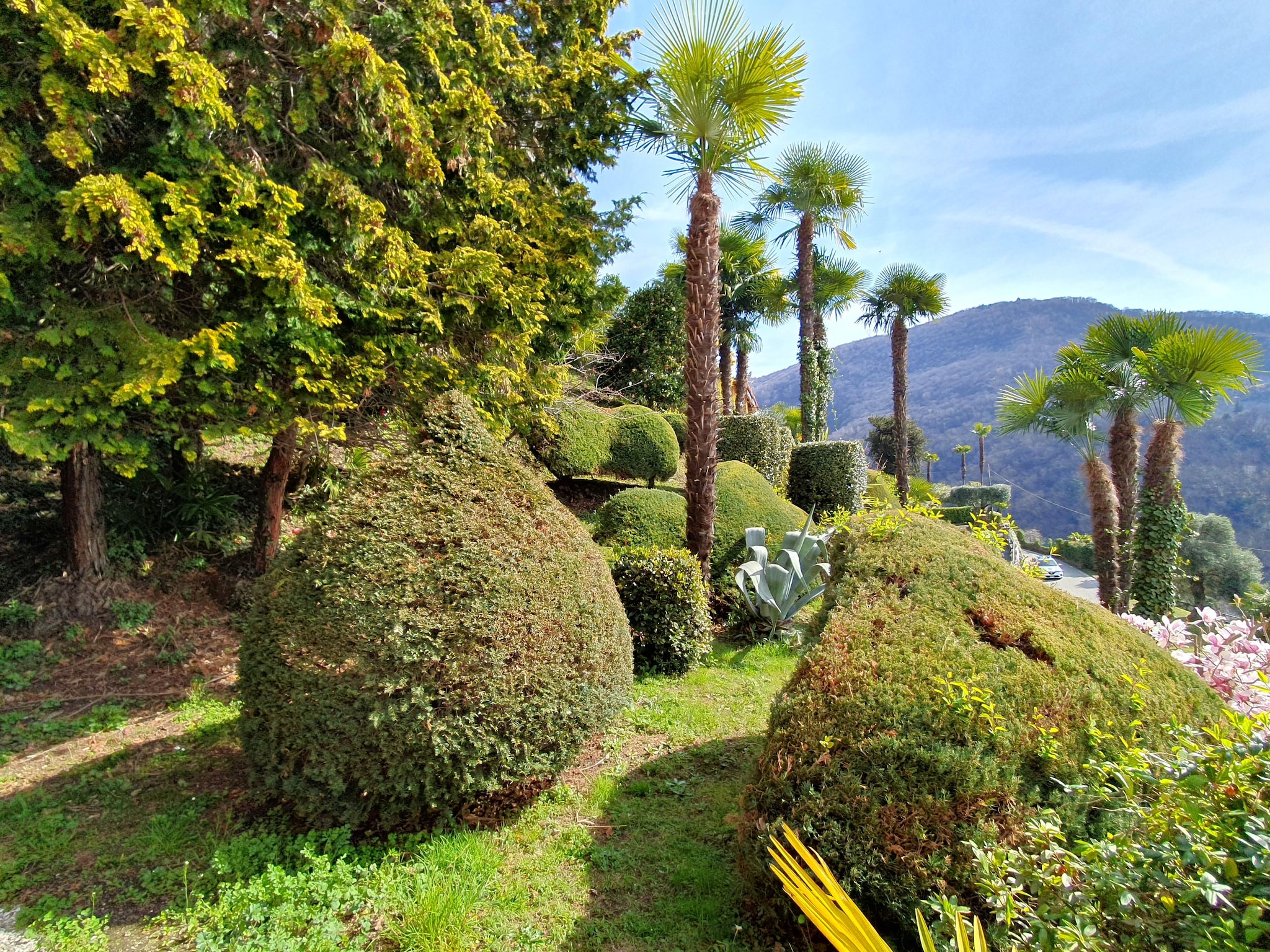   PAN03/4 -  Residenza Panorama