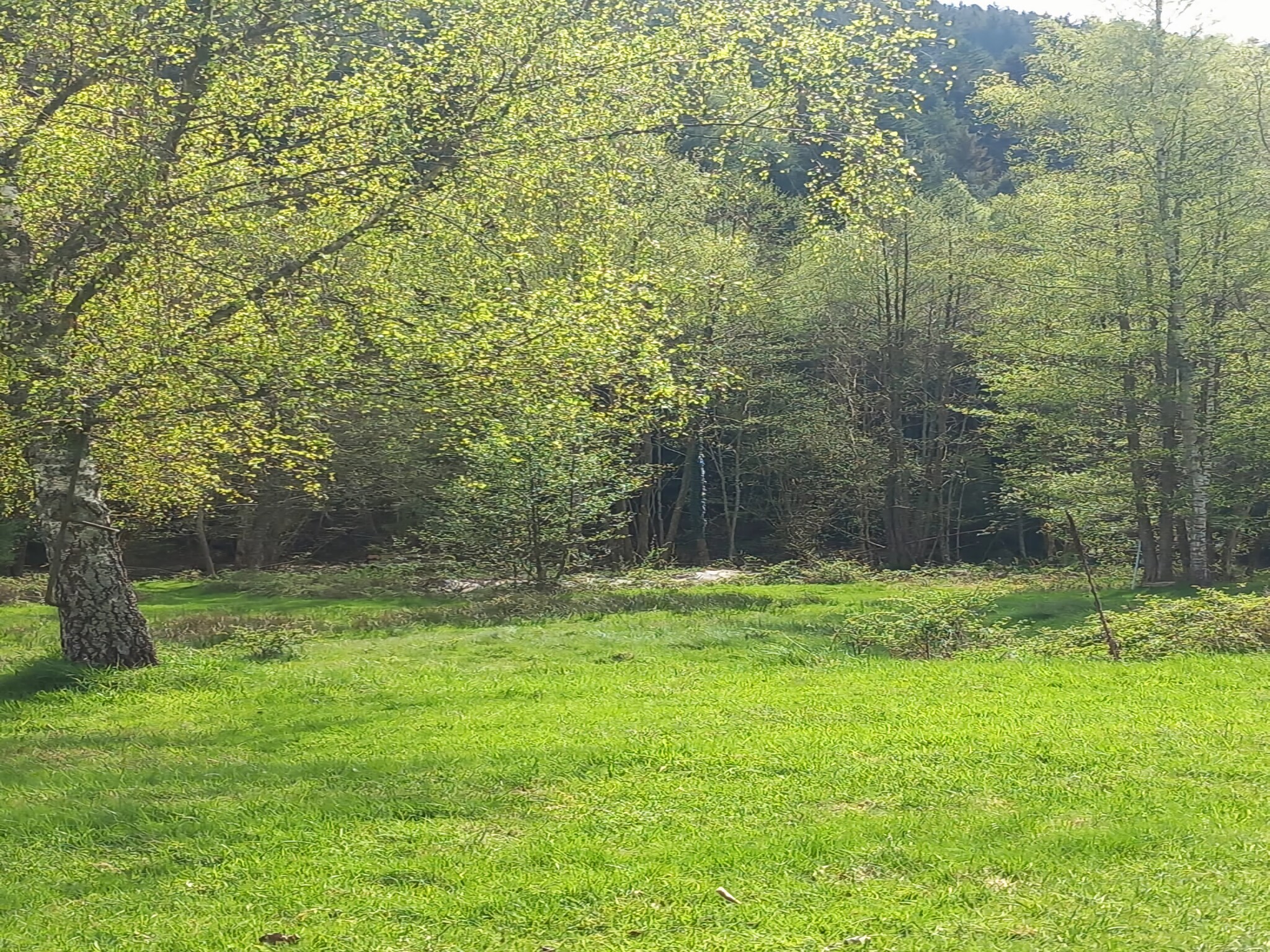   Ferienhaus mit eigener Bar am Bach in Saint Quirin
