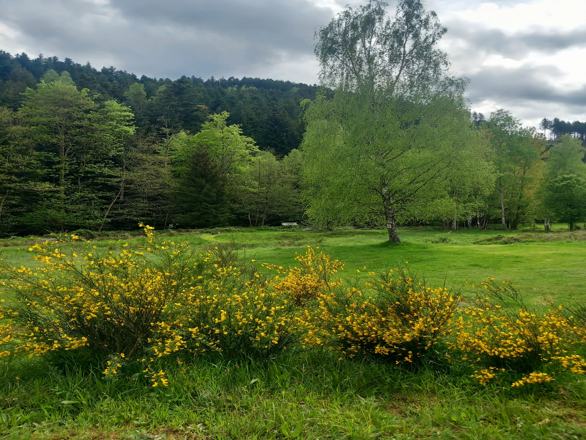   Ferienhaus mit eigener Bar am Bach in Saint Quirin
