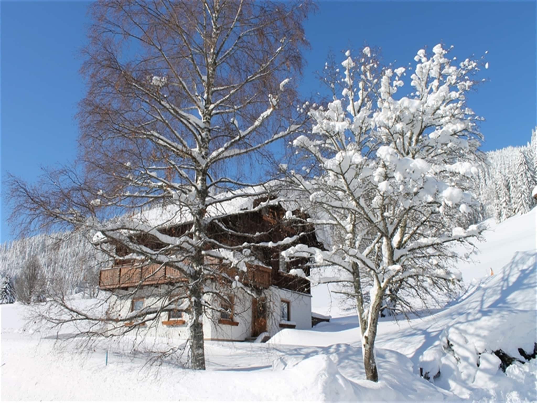   Ferienhaus Dachsteinheim