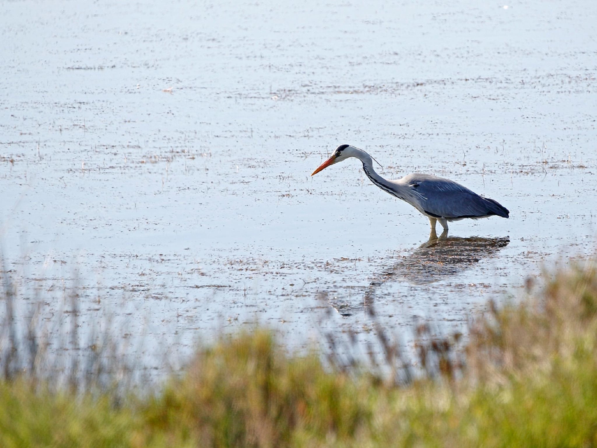   Gîte Au bord de l'Eau