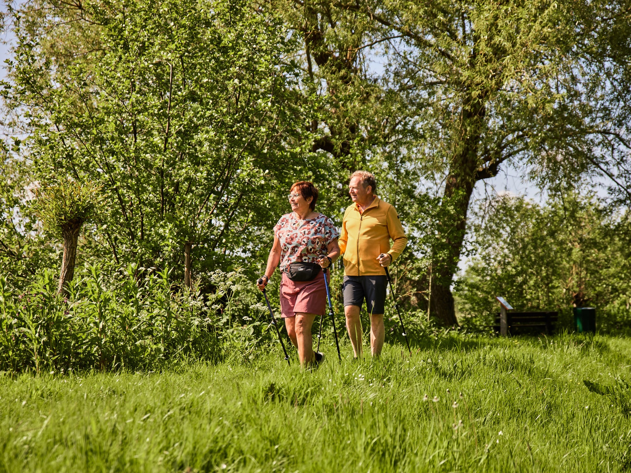   Comfort bungalow – Max 6 personen – nu