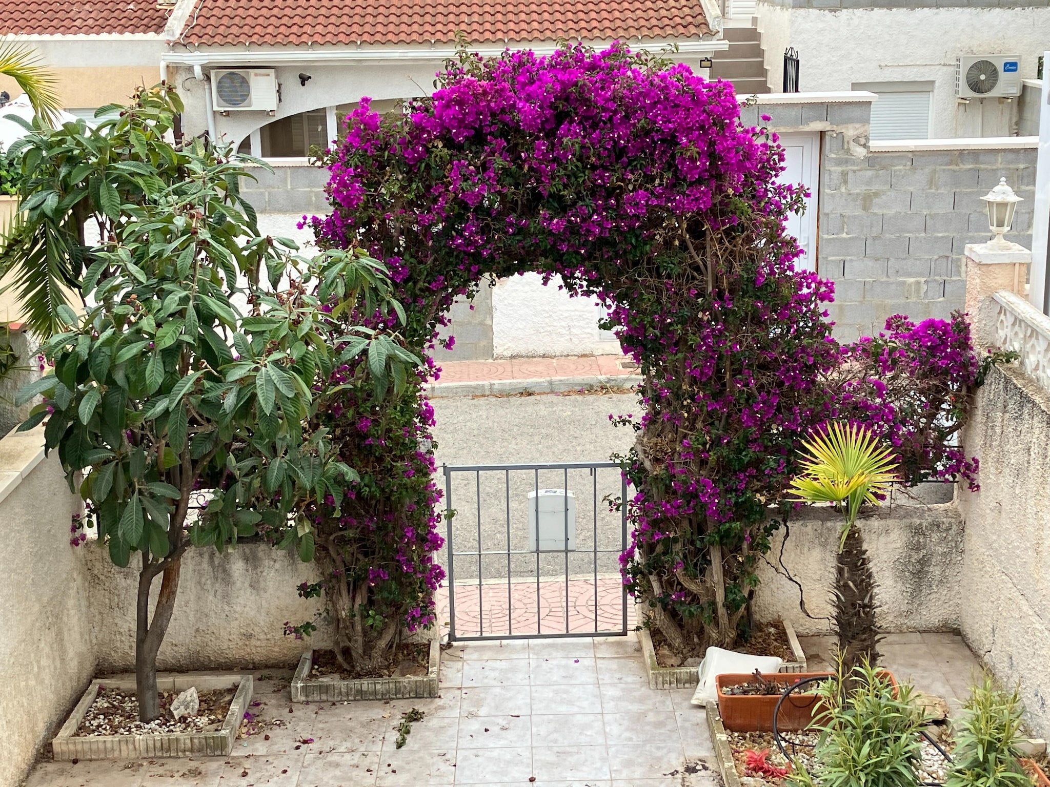   Casita Nicoline