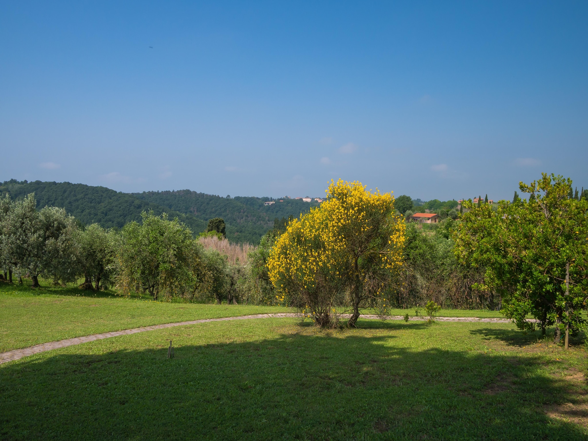 Appartement Ortensia