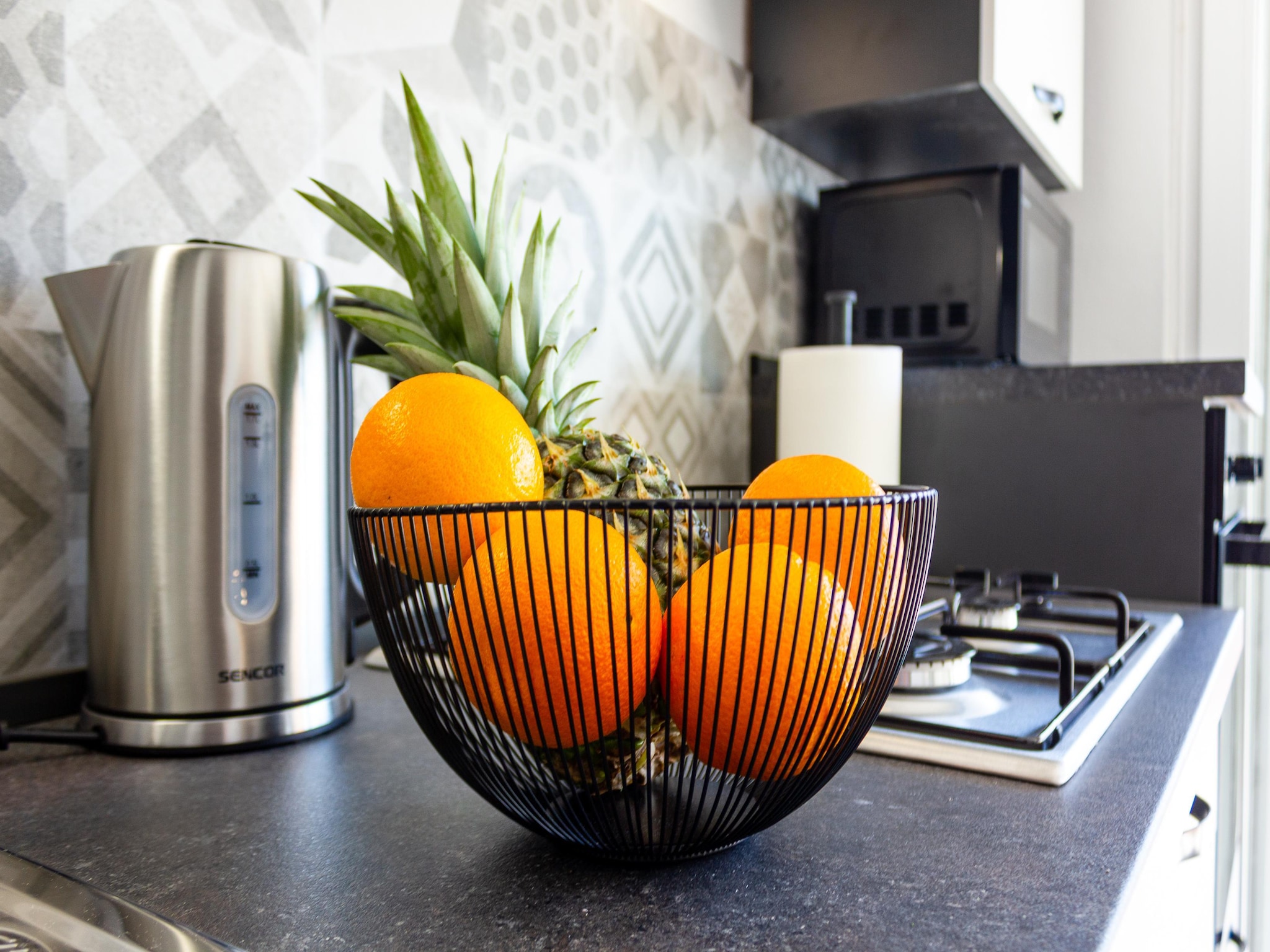 Appartement Apartment Penic 2